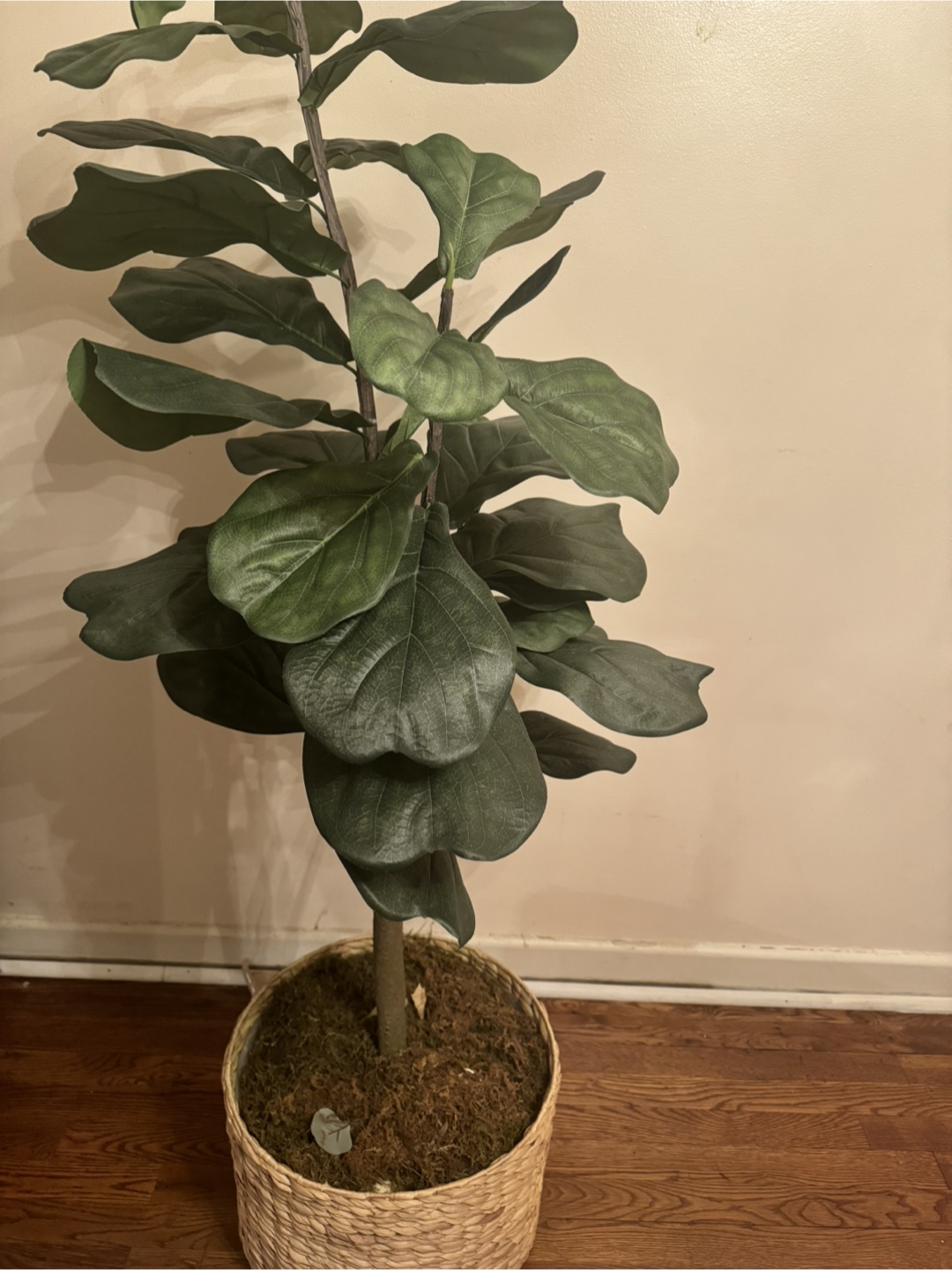 Artificial Fiddle Leaf Fig Tree in Woven Basket