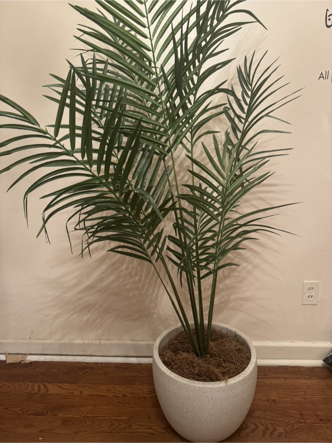 Artificial Areca Palm Plant in Speckled White Pot