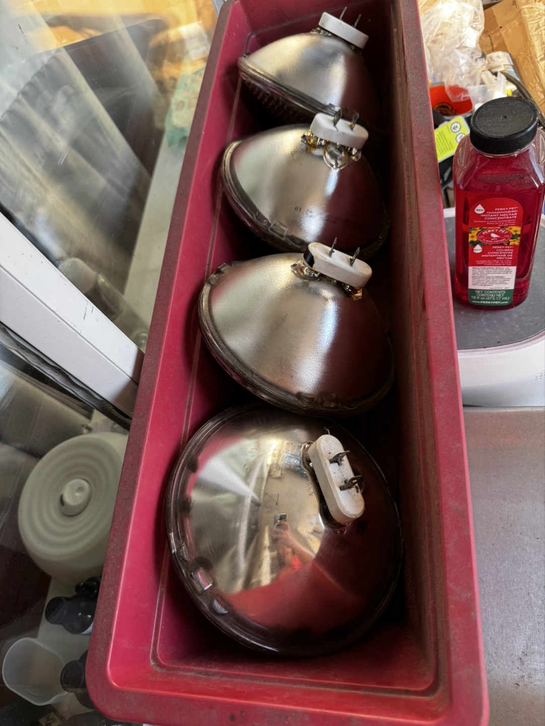 Sylvania 500W PAR38 Halogen Bulbs - photo 4