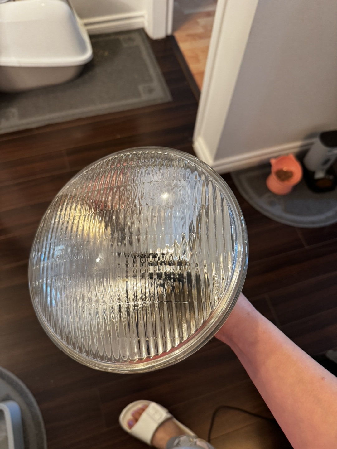 Sylvania 500W PAR38 Halogen Bulbs