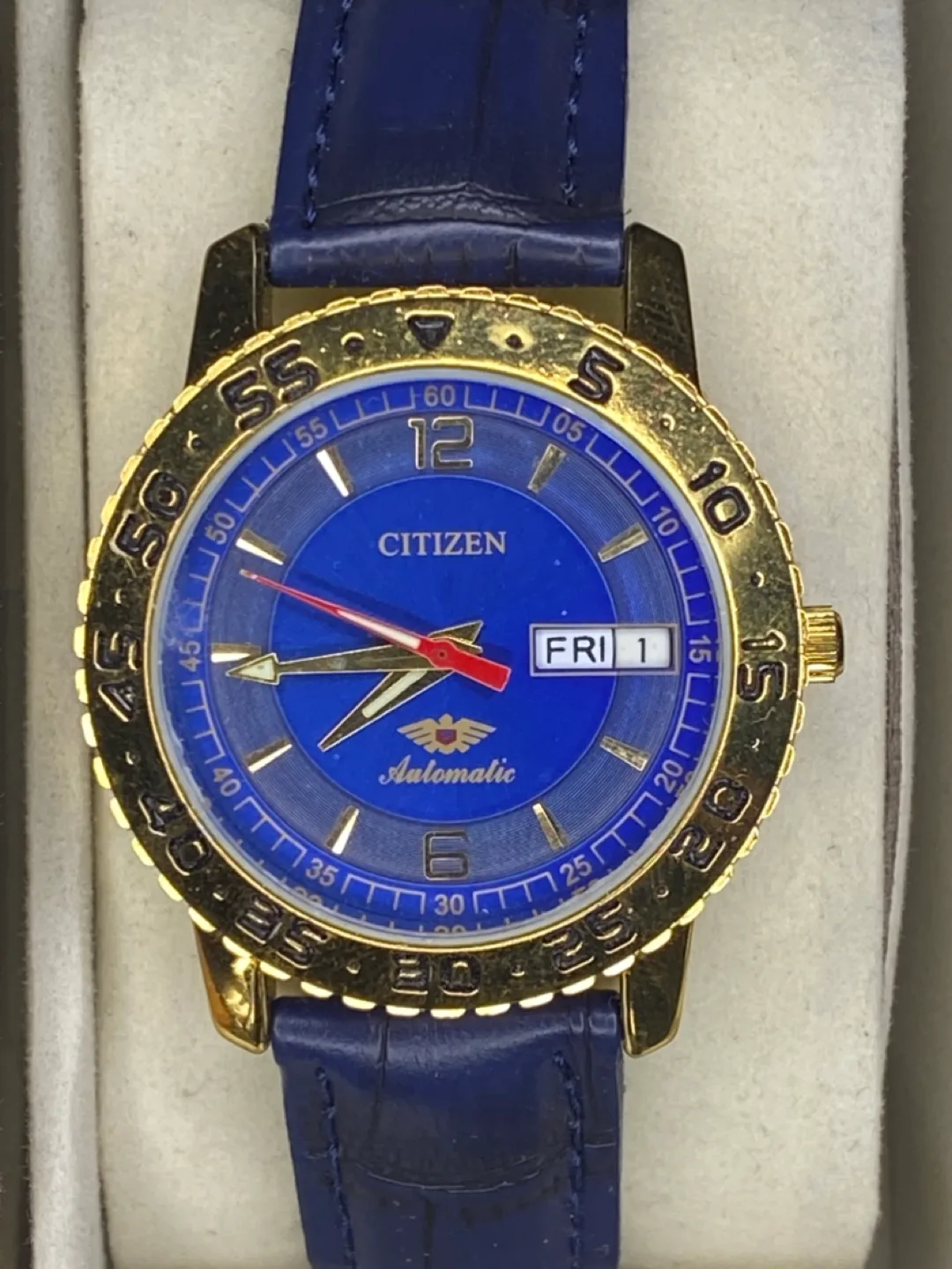 Citizen automatic watch image indicator(2)