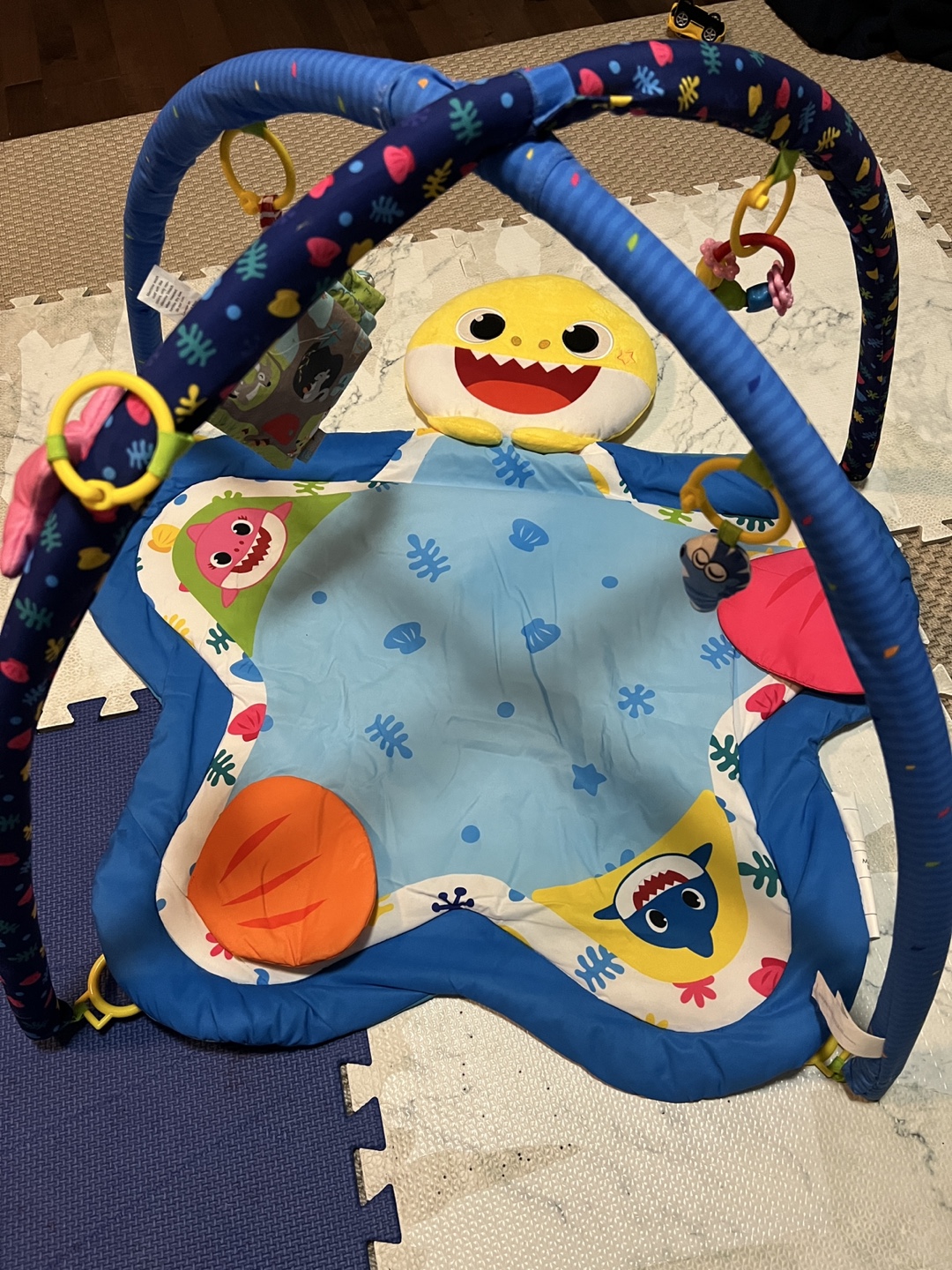 Baby Gym Playmat