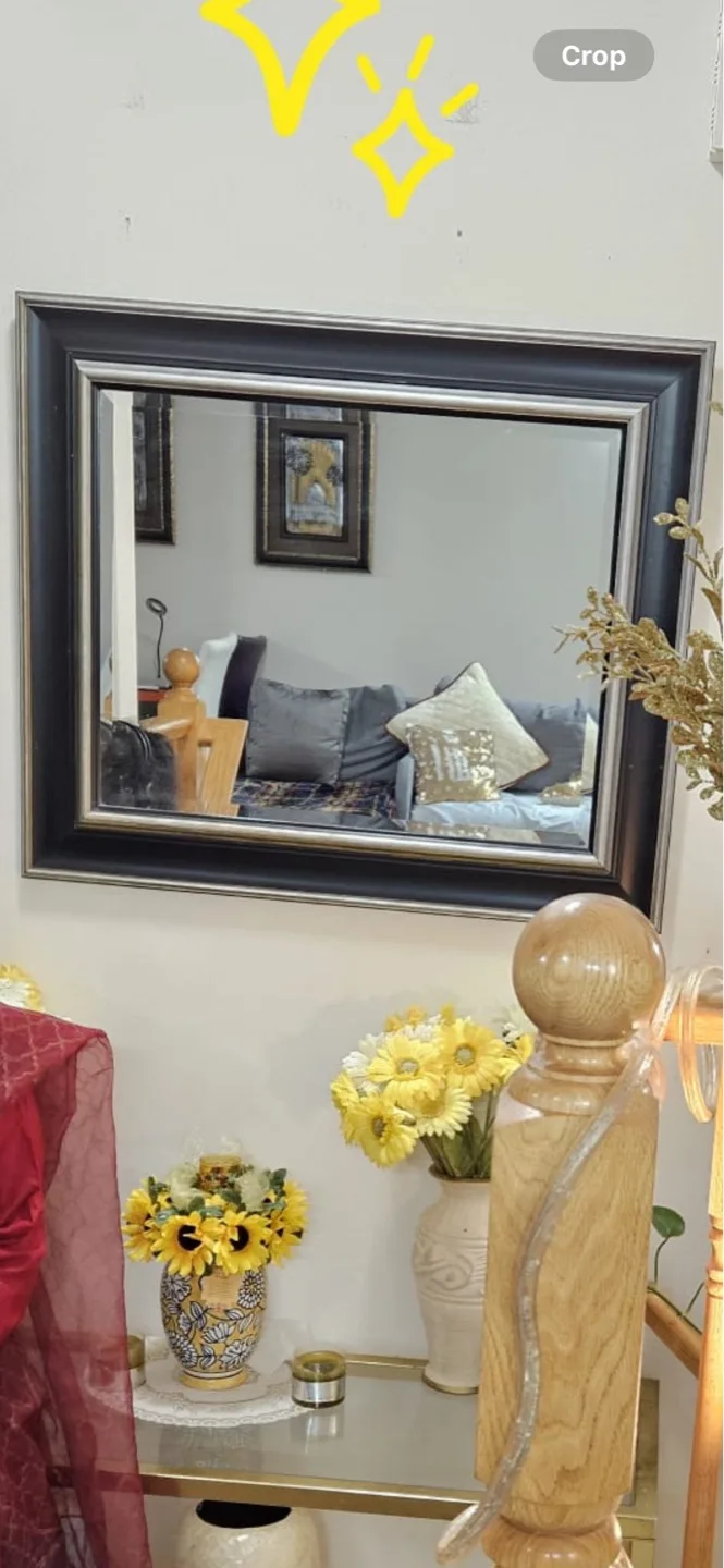 Large Black and Silver Framed Mirror image indicator(2)