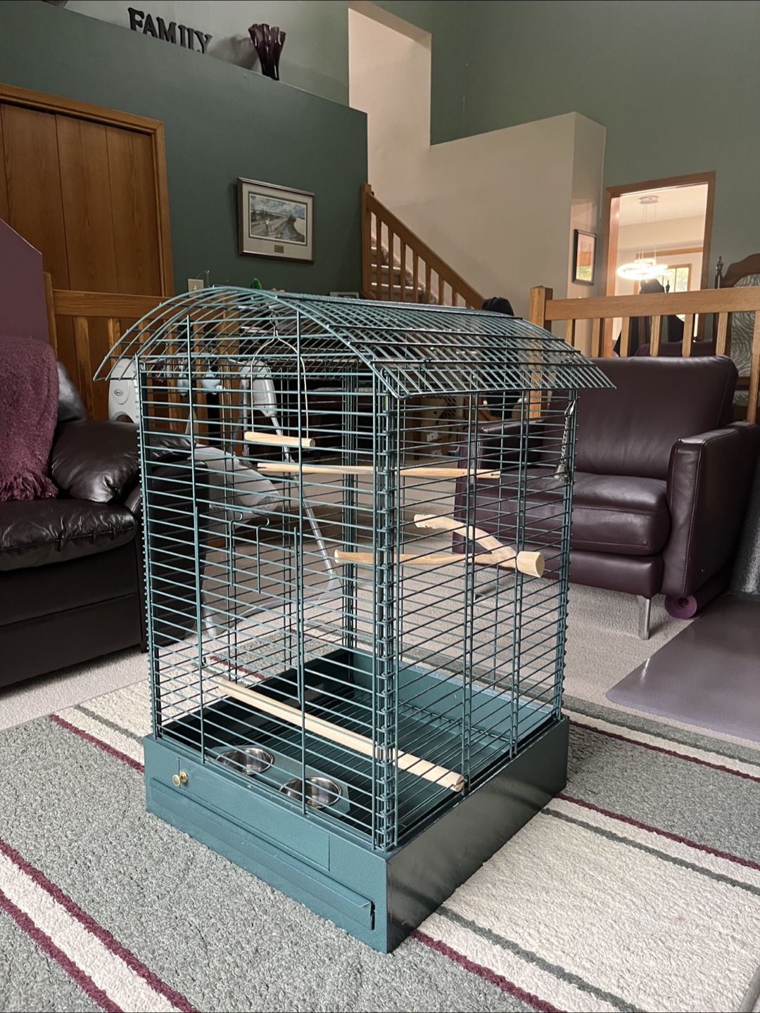 Green Bird Cage