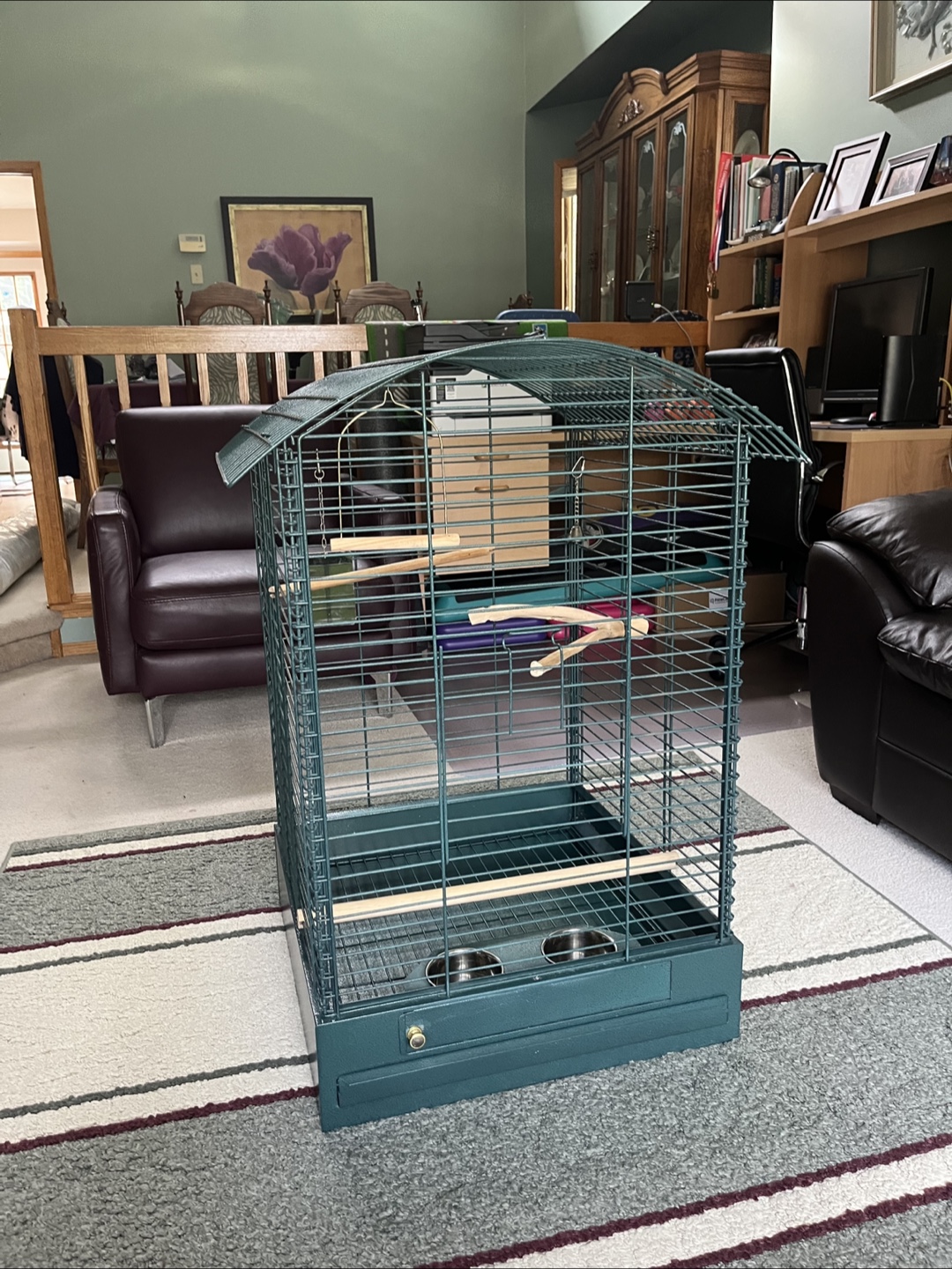 Green Bird Cage - photo 2
