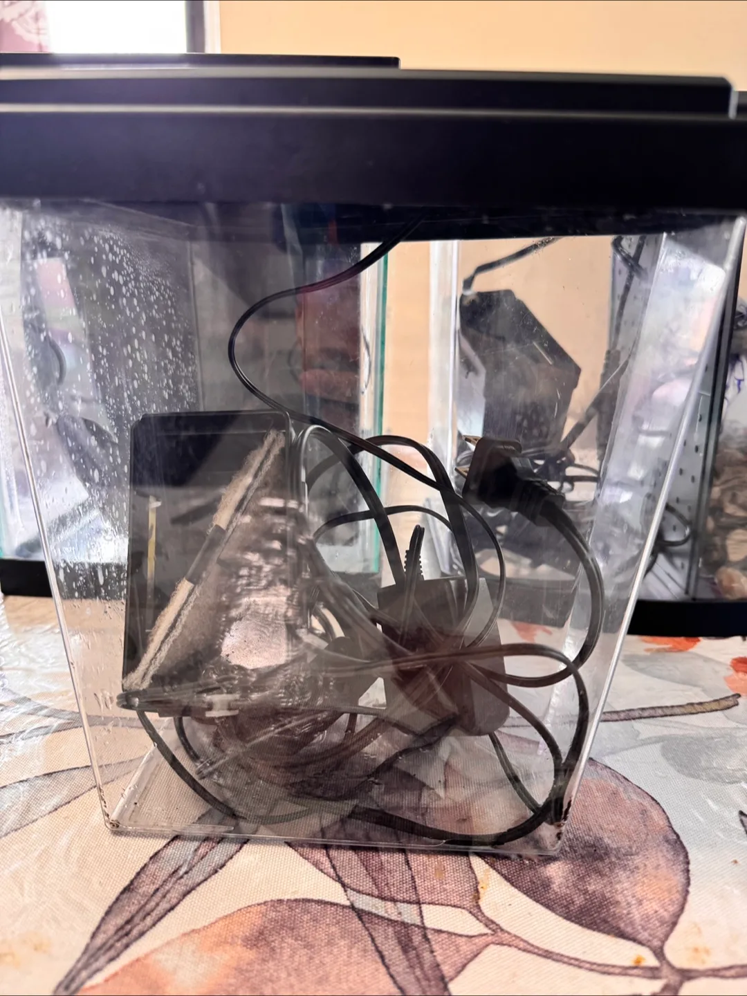 Small tanks bundle 5,2.5&1 gallon (can be purchased separately) image indicator(8)