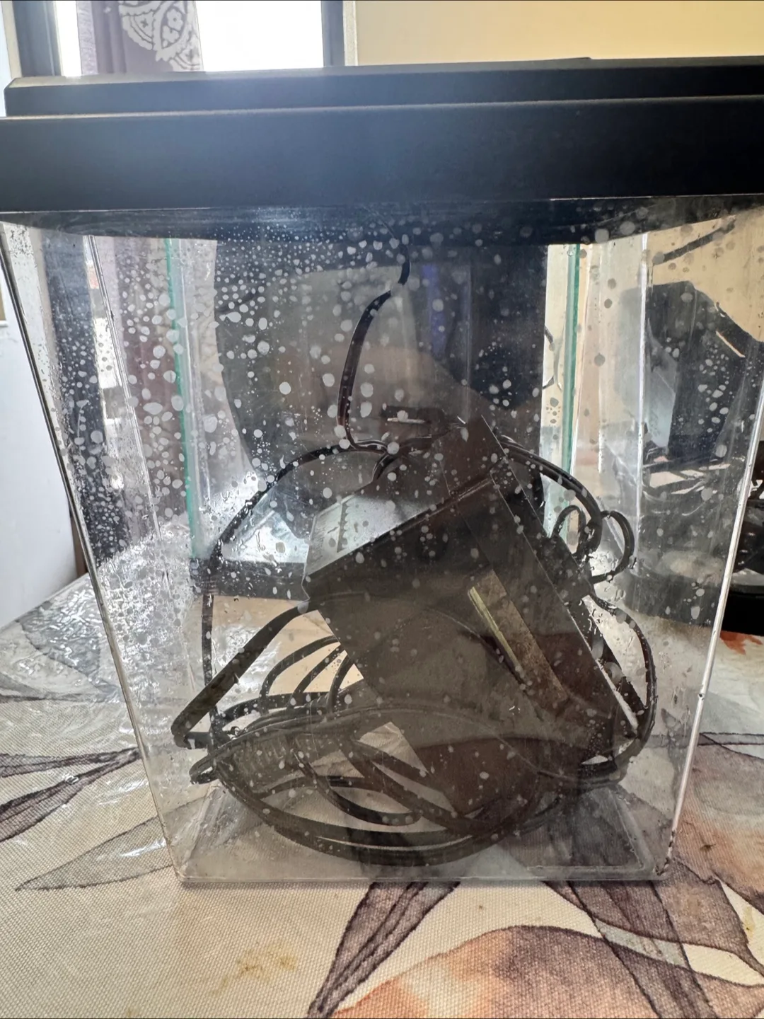 Small tanks bundle 5,2.5&1 gallon (can be purchased separately) image indicator(7)