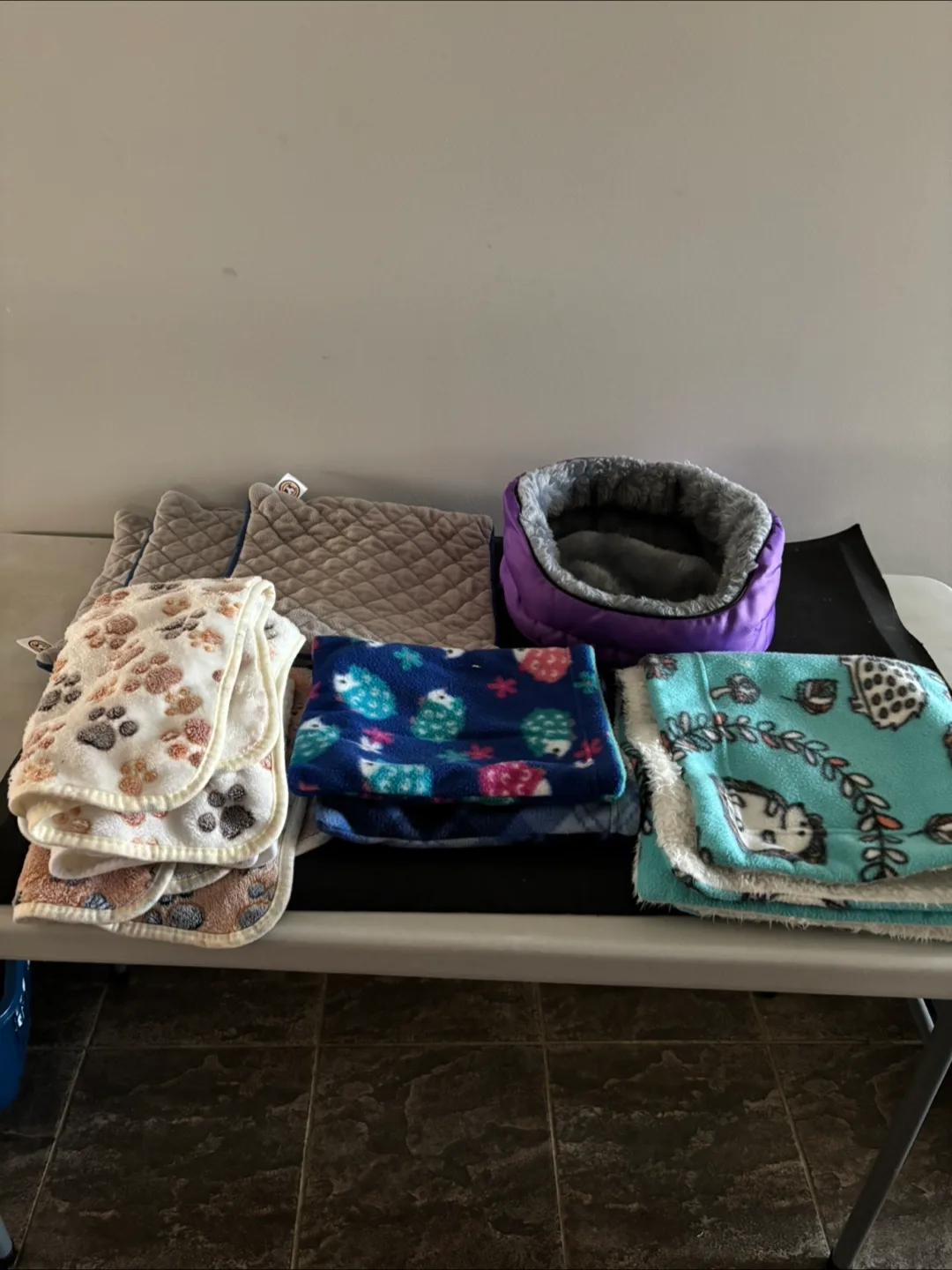 Hedgehog supplies image indicator(4)