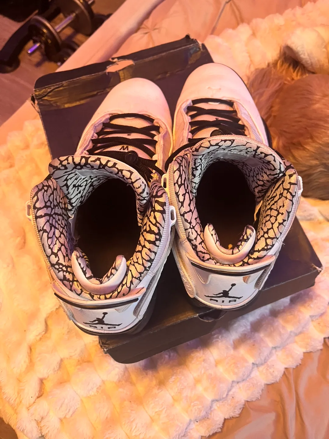 Air Jordan 6 Rings Size 11 White image indicator(4)