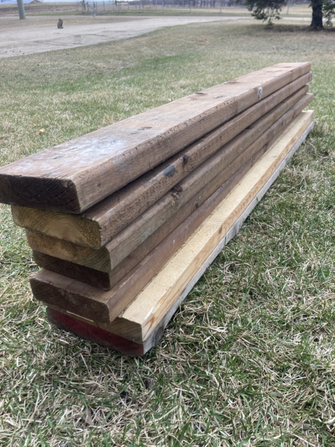 5 ft Boards - photo 5