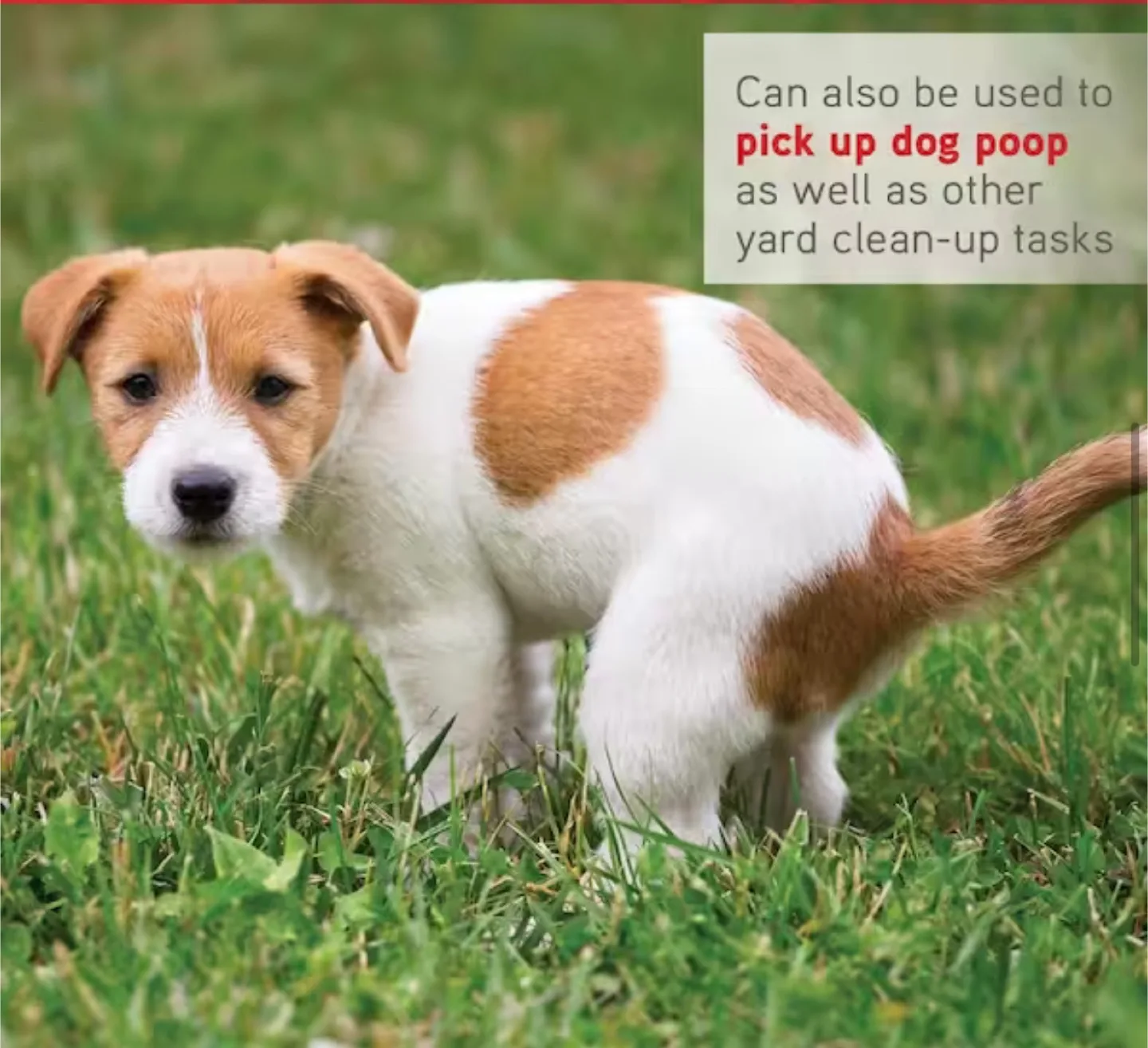 2-Piece Multi-Purpose Scoop & Rake Garden Tool Set image indicator(8)