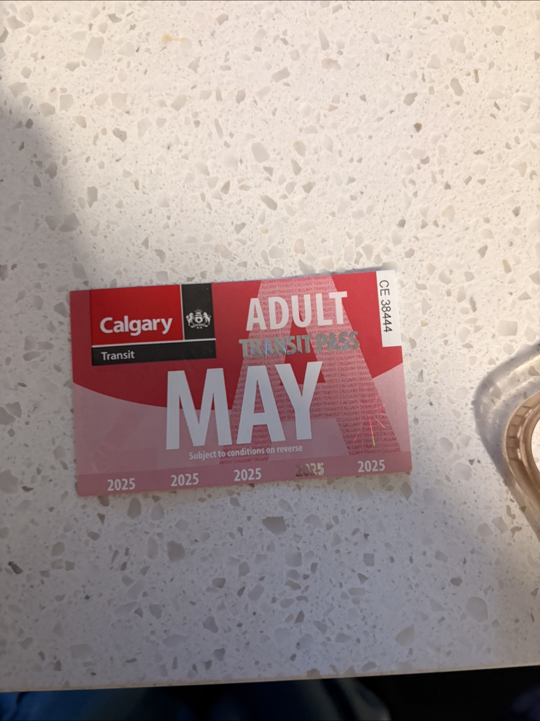 Calgary Transit May 2025 Adult Pass