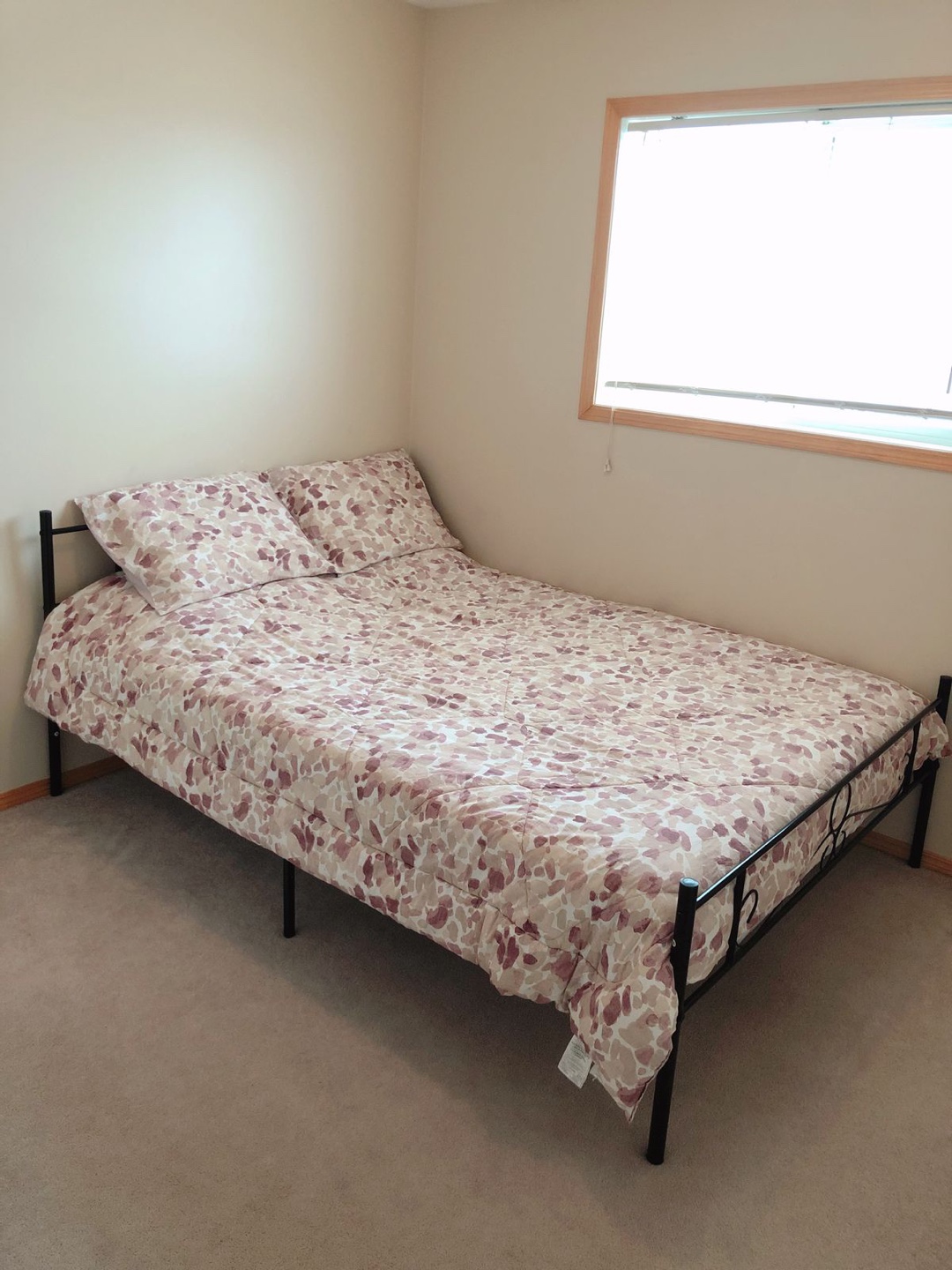 Queen Bed & Mattress