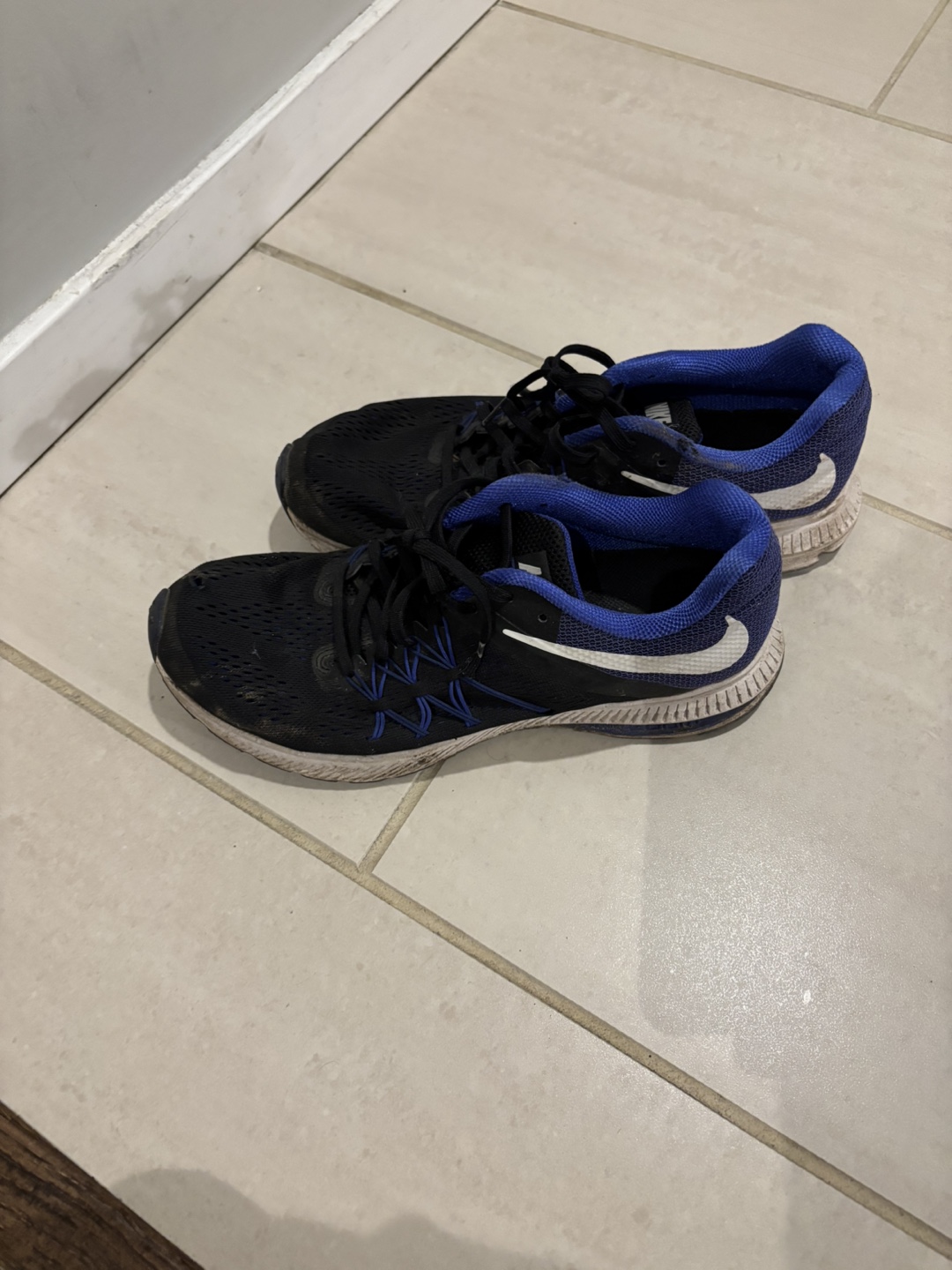 Nike Men's Running Shoes