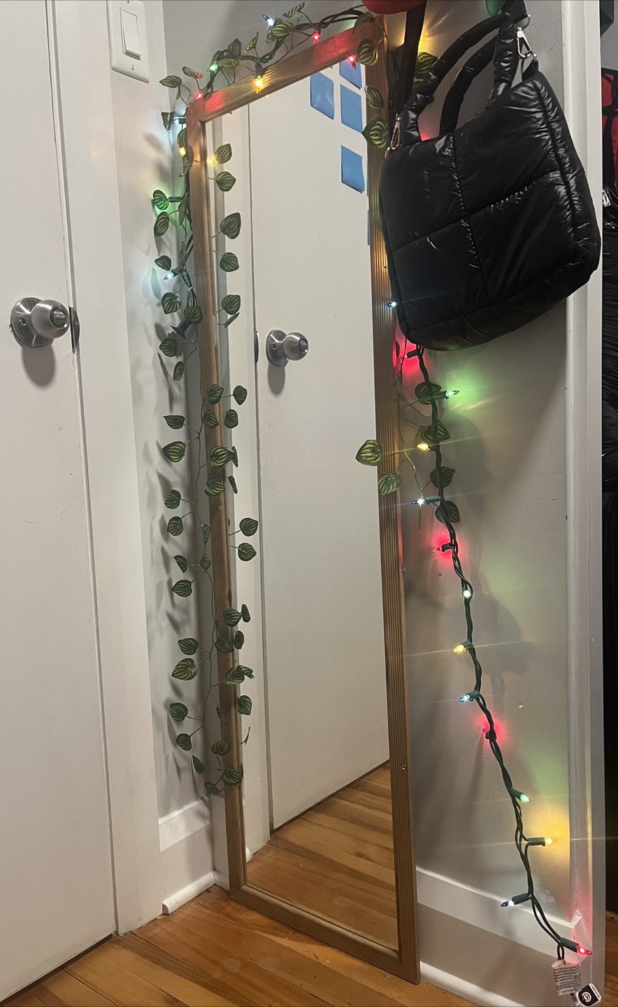 Full-length mirror with wooden frame