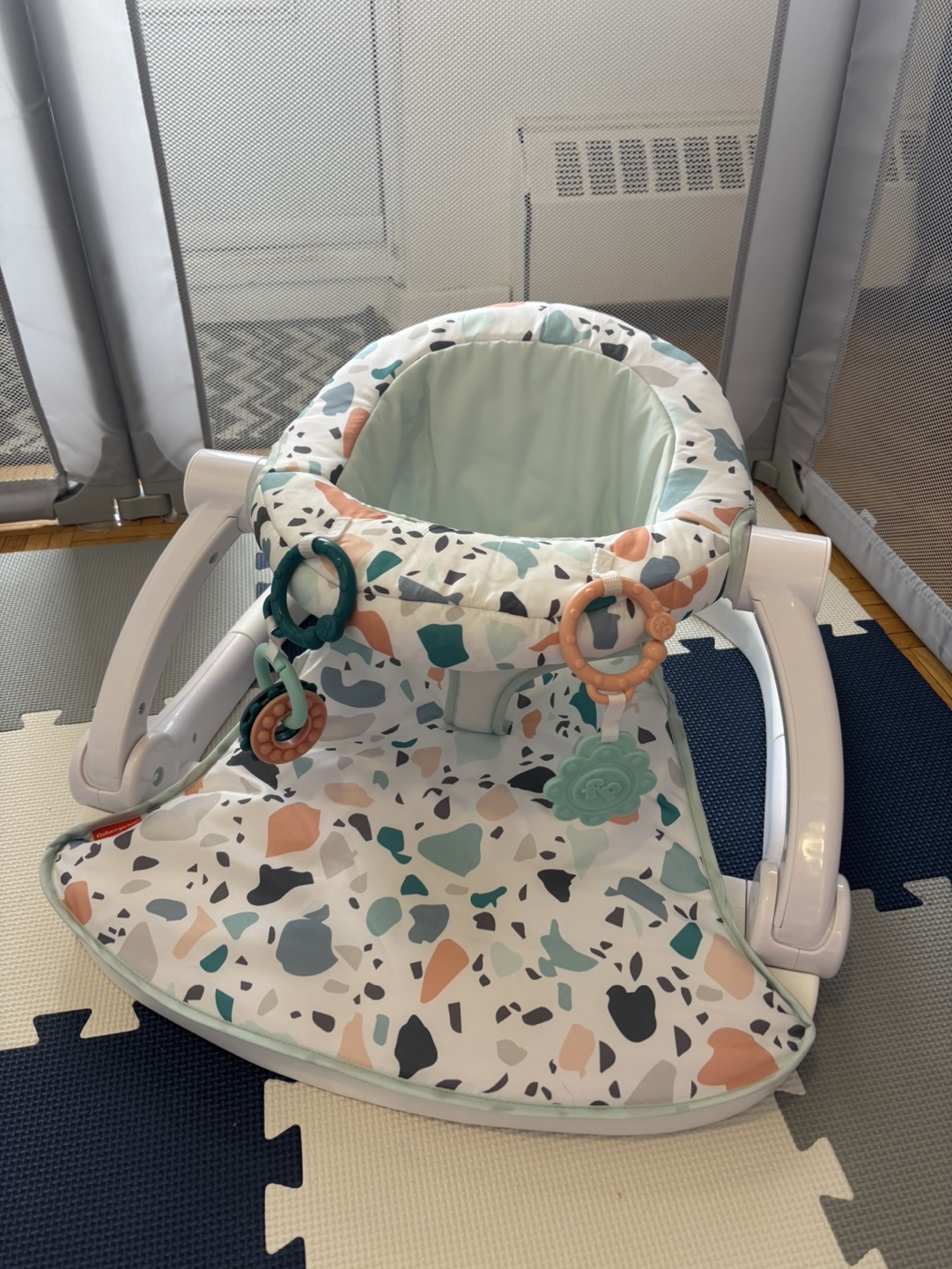 Fisher-Price Portable Baby Chair