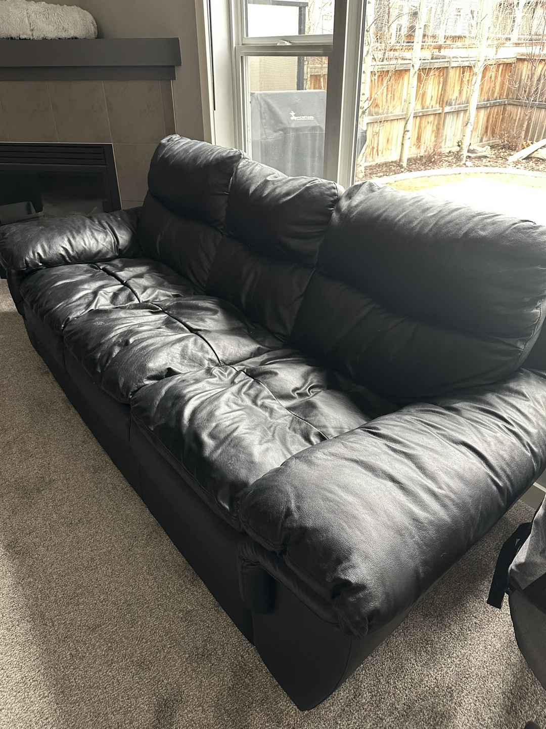 Black Leather Sofa