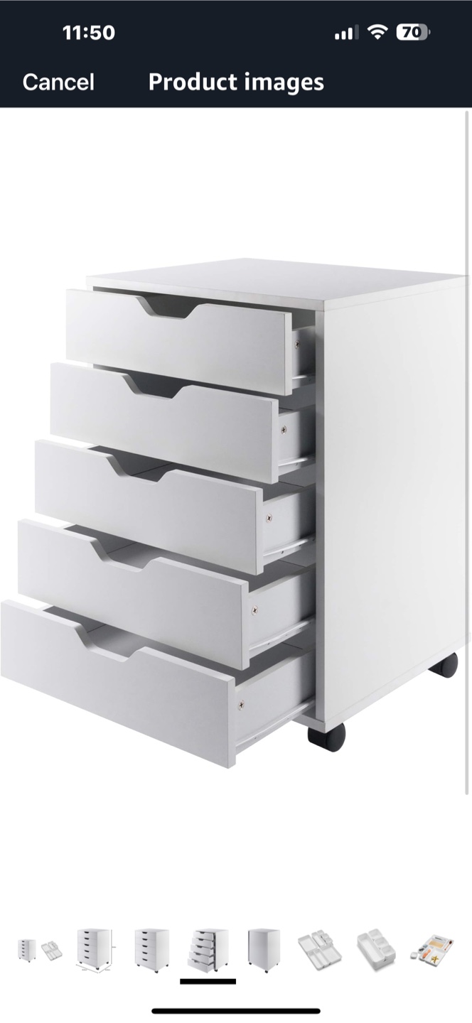 Winsome Wood 5-Drawer Mobile Cabinet - White