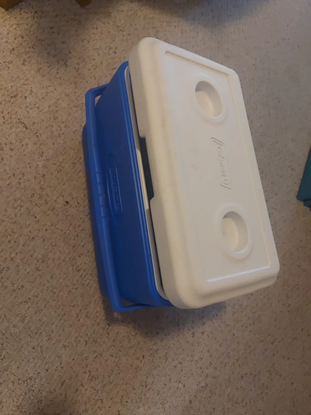 Coleman 16 Quart Cooler image indicator(3)