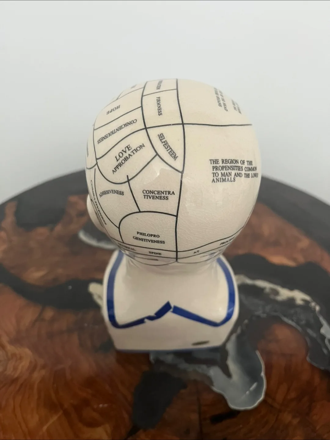 Ceramic Human Mind Bust image indicator(2)