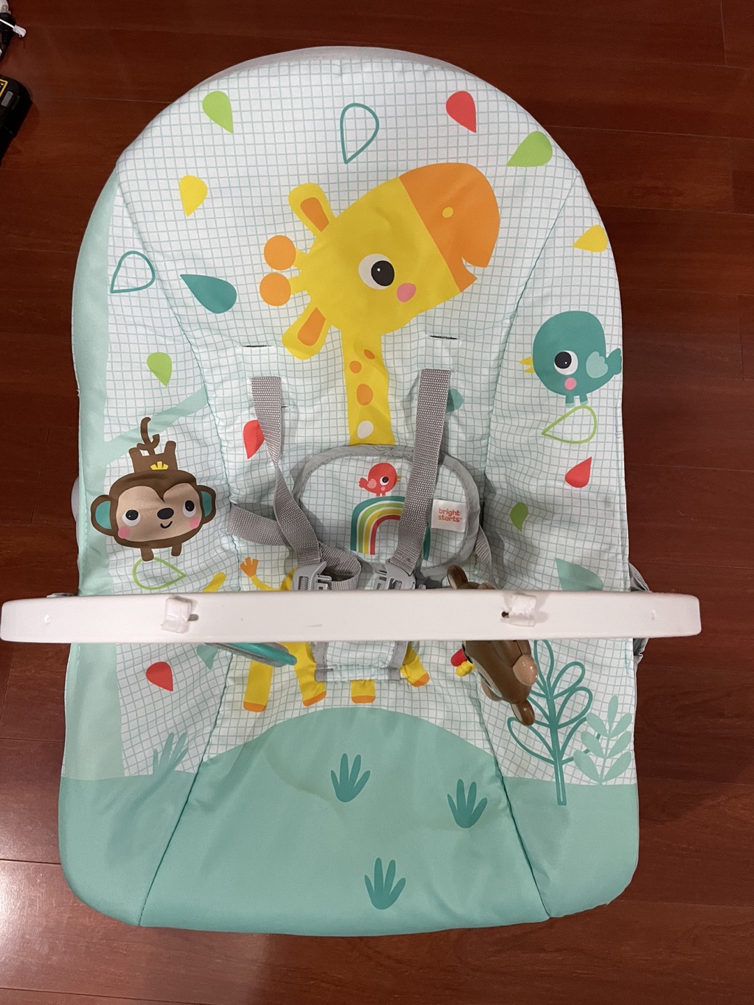 Bright Starts Infant to Toddler Rocker - photo 3