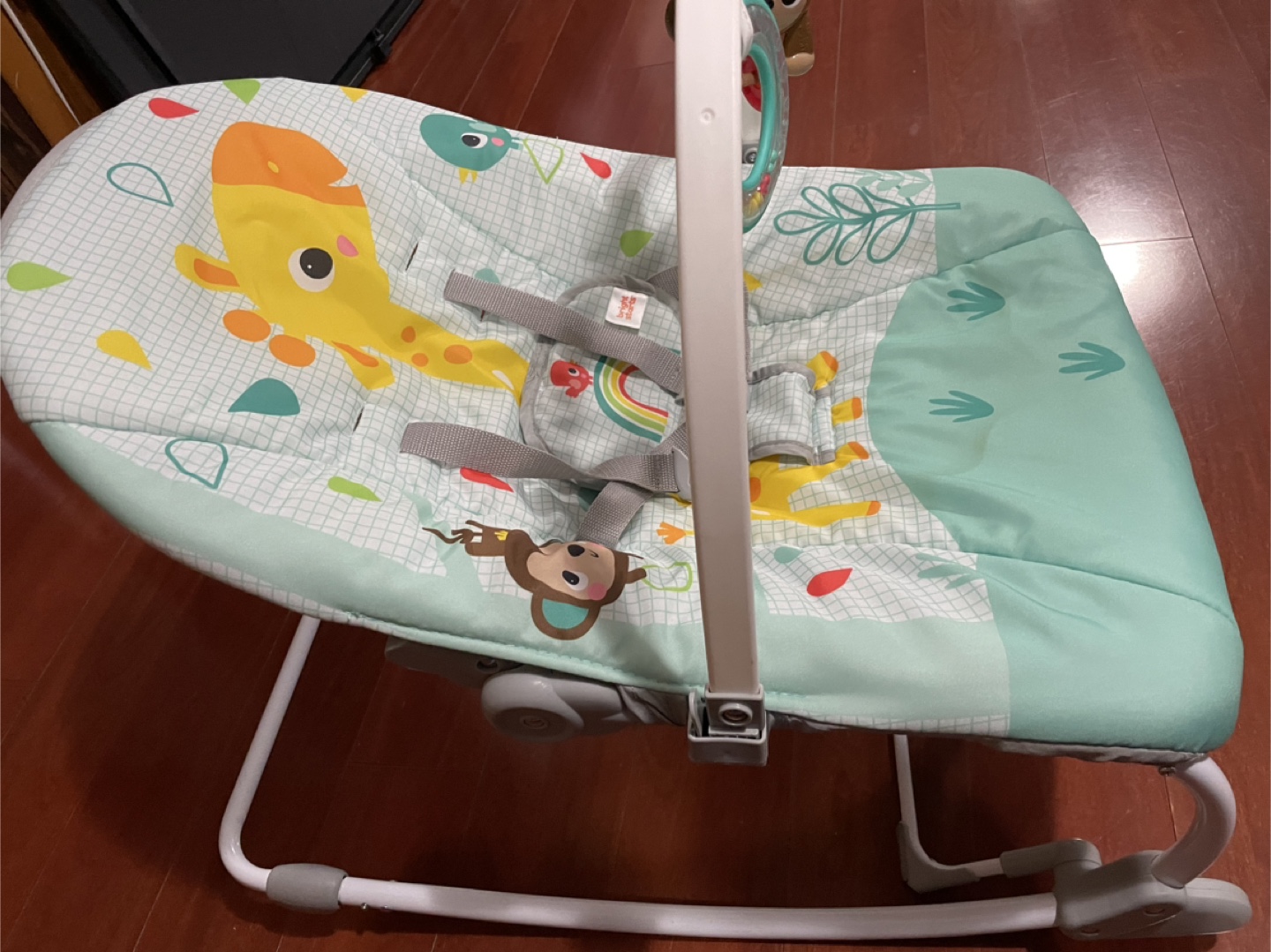 Bright Starts Infant to Toddler Rocker