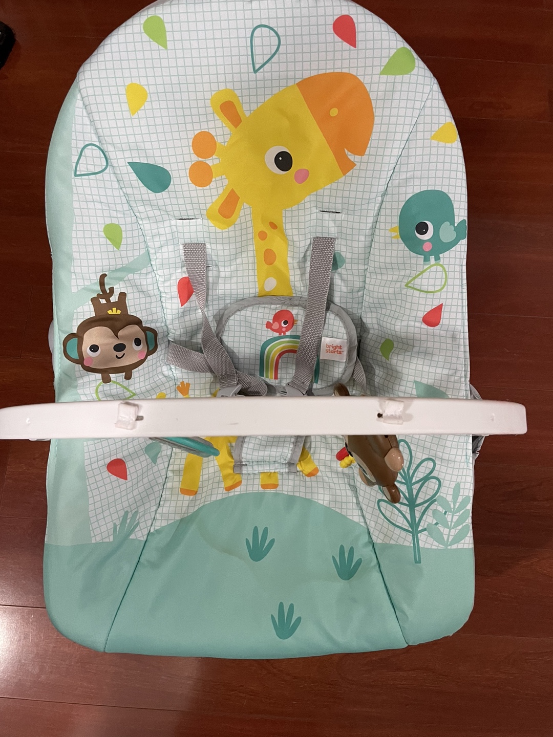 Bright Starts Infant to Toddler Rocker - photo 4
