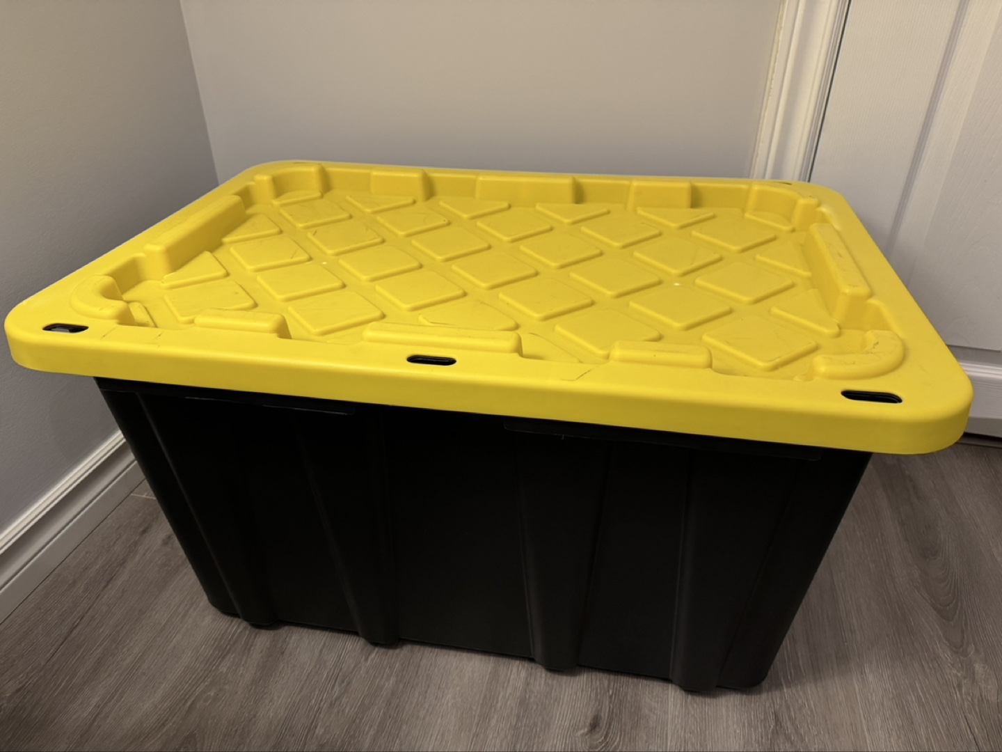 Large Storage Container