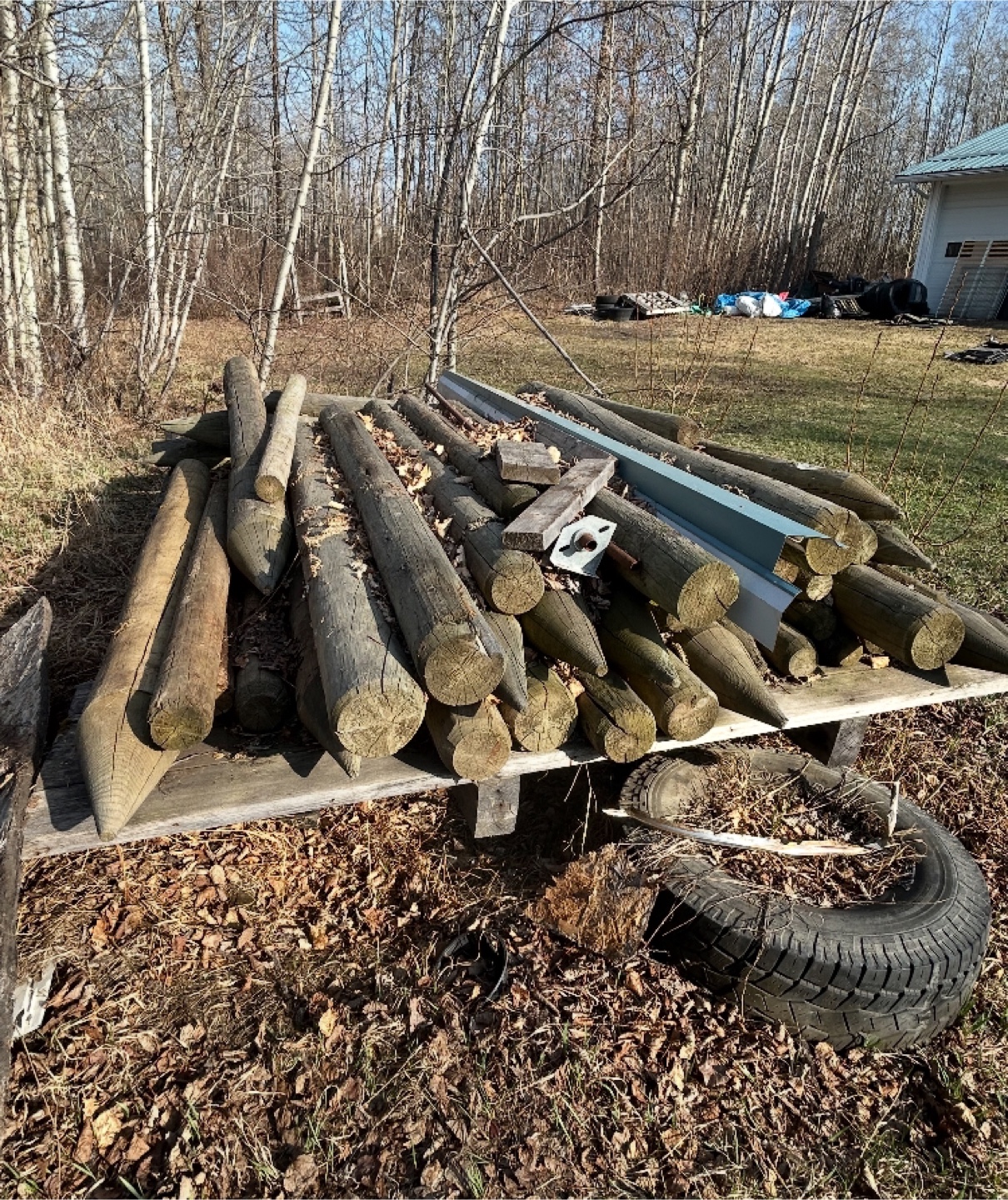 Treated Fence Posts (50)