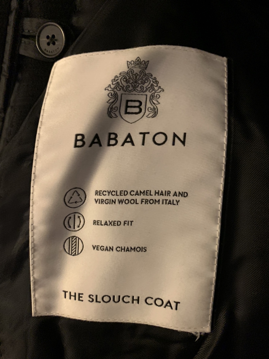 Babaton by Aritzia The Slouch Coat. - photo 2