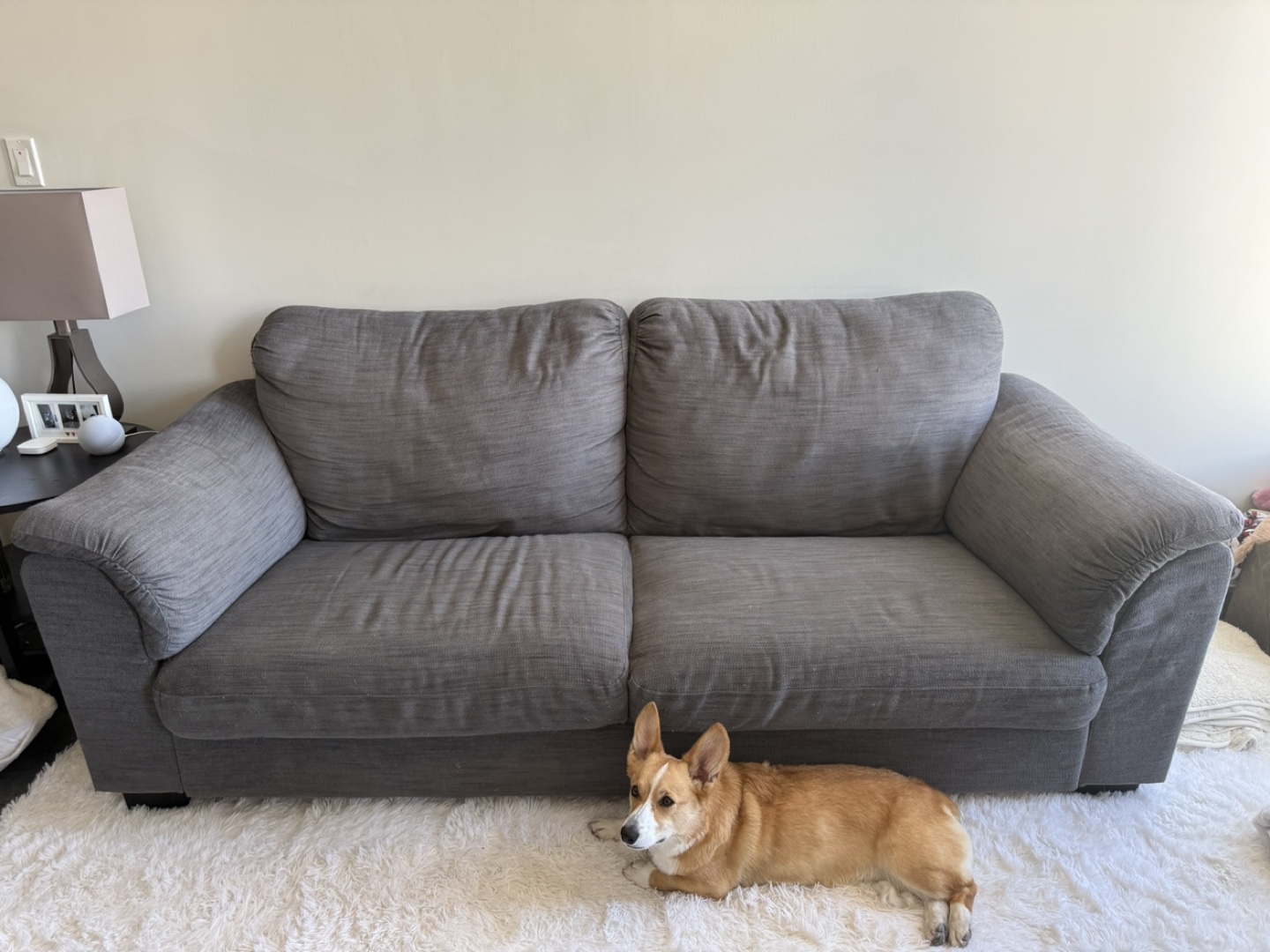 Couch and chair