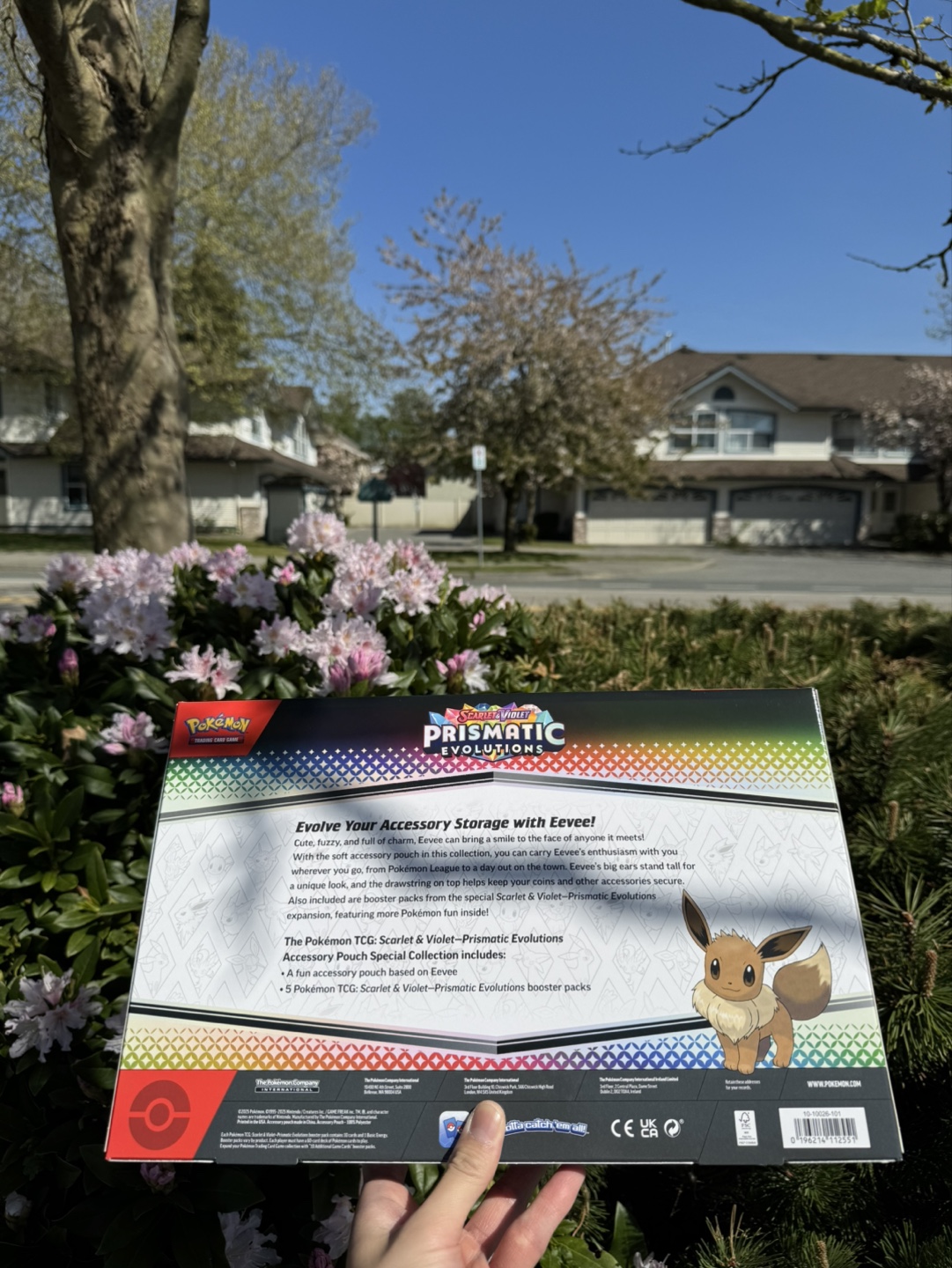 Pokémon TCG Eevee Accessory Pouch Special Collection - photo 2