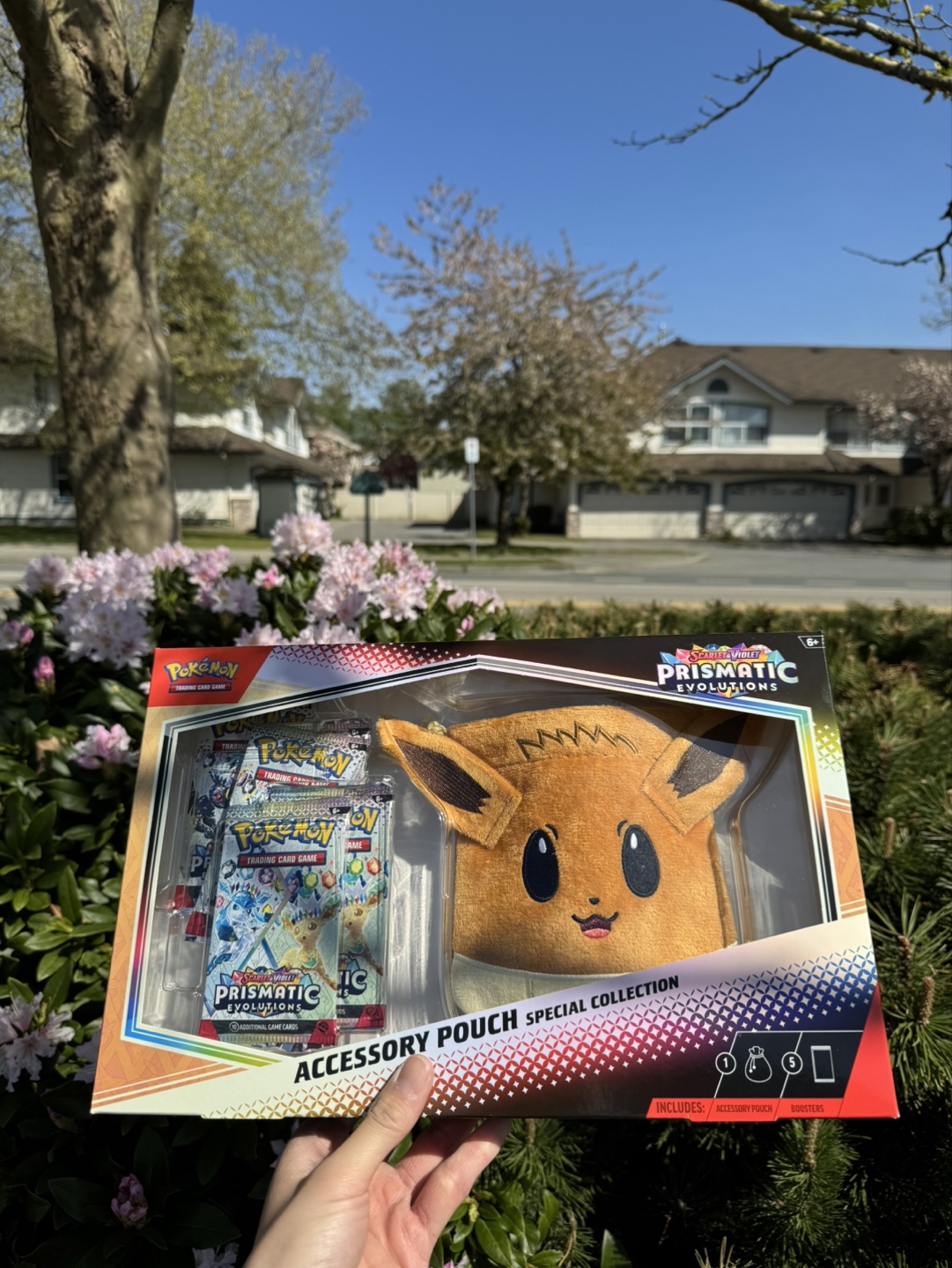 Pokémon TCG Eevee Accessory Pouch Special Collection