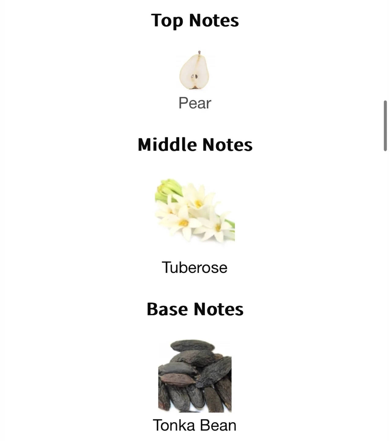 Zara Deep Garden EDP - 30ml image indicator(3)