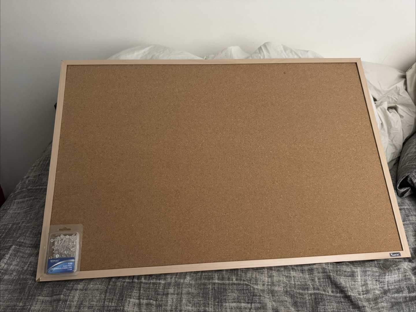 Large Corkboard with Push Pins