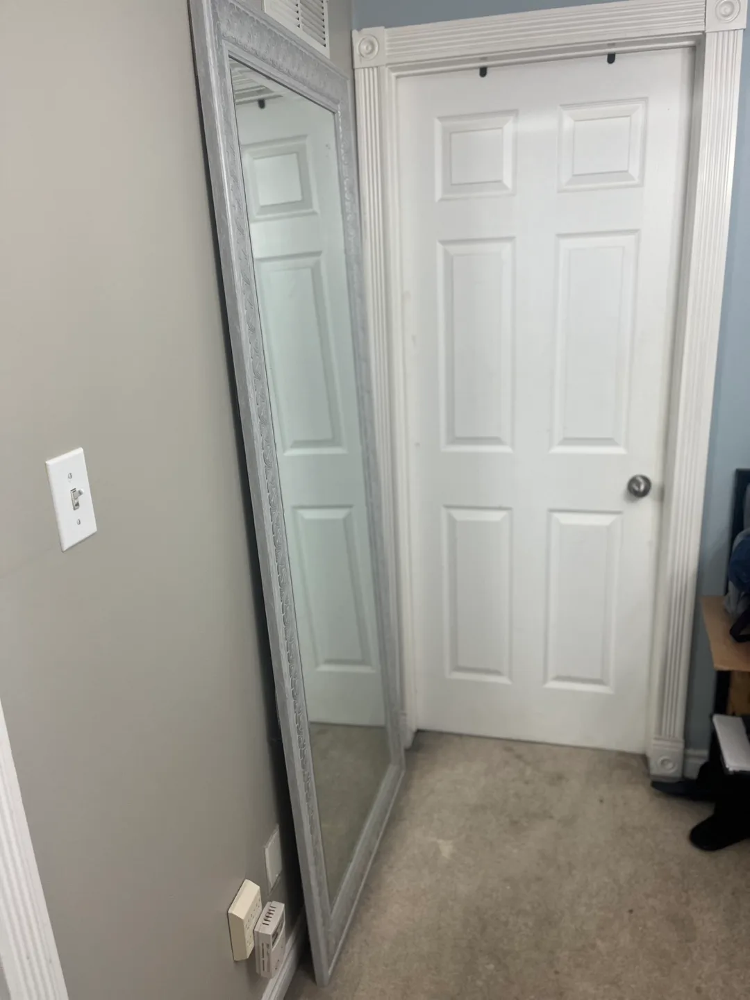 Full-Length Silver Mirror image indicator(7)