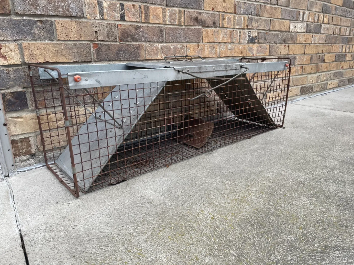 Animal Trap image indicator(3)