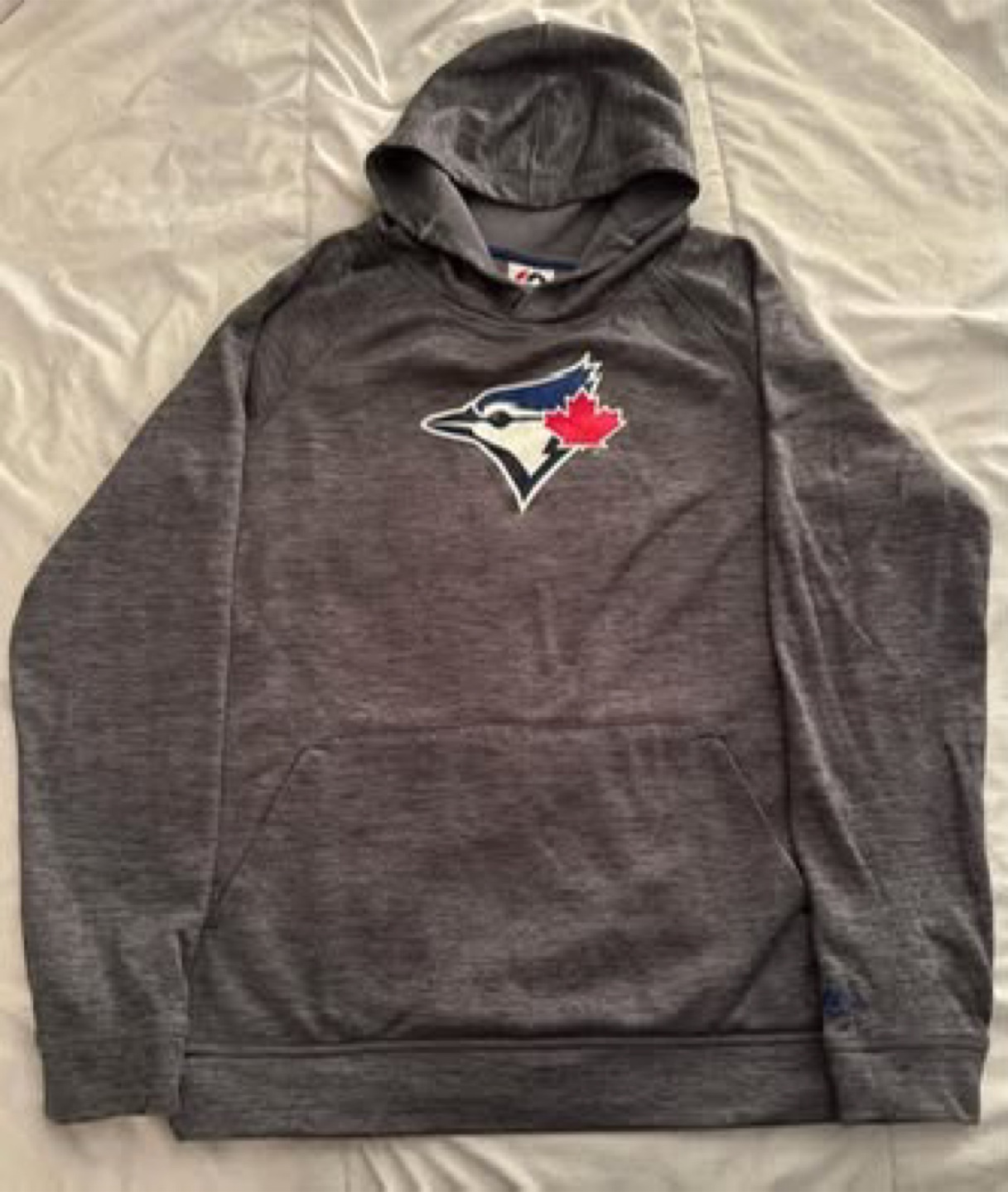 Boys (Teen) XL Majestic Toronto Blue Jays Hoody - NEW