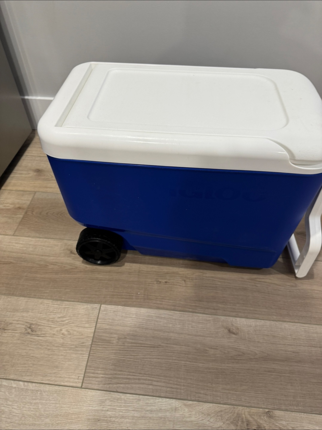 Igloo Rolling Cooler