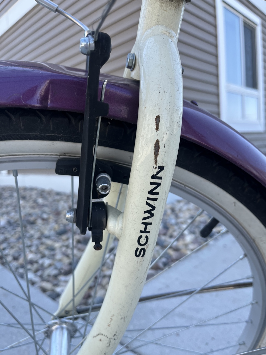 Woman’s Schwinn women's cruiser bike - photo 4