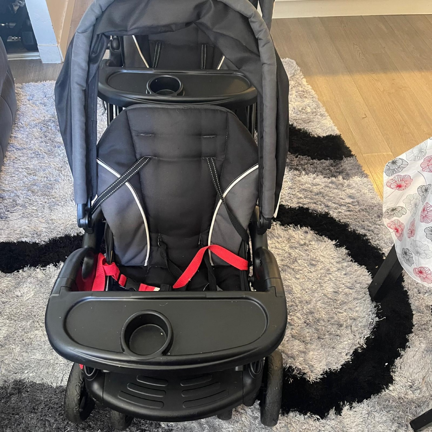 Double Stroller - photo 4