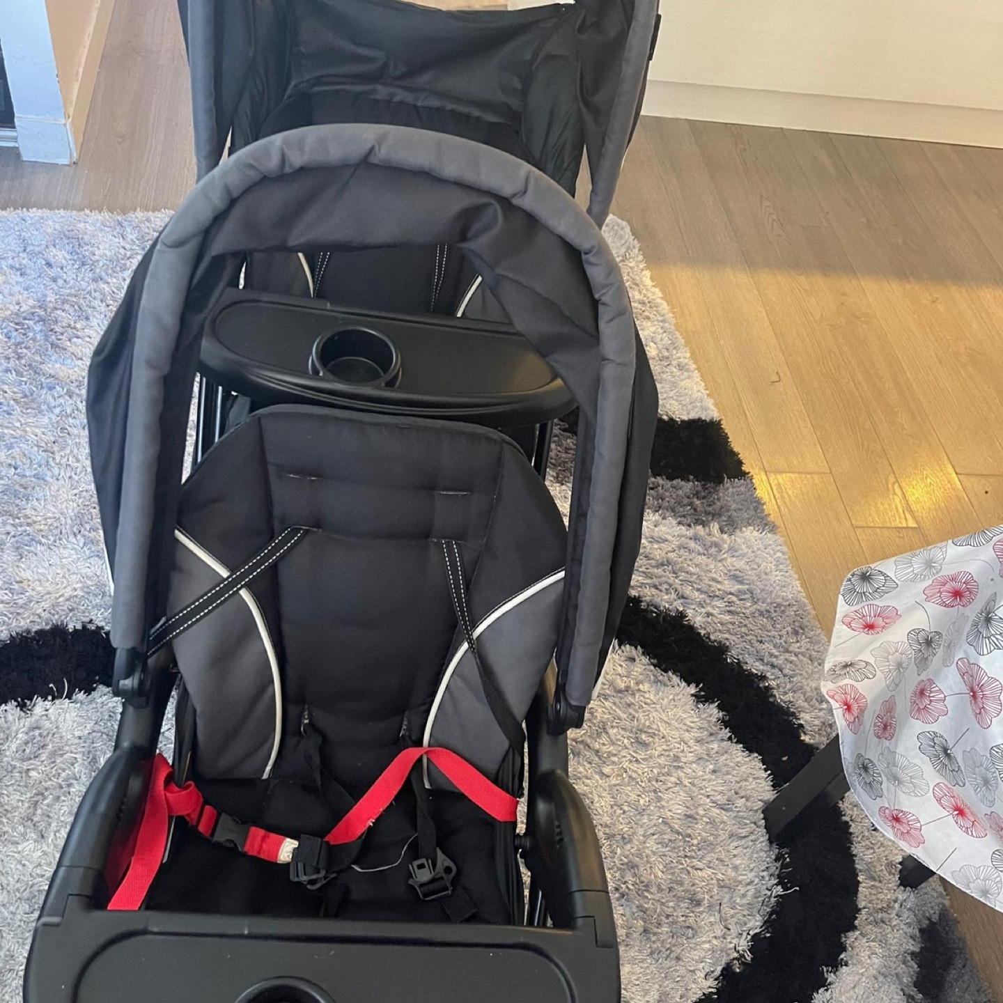 Double Stroller - photo 5