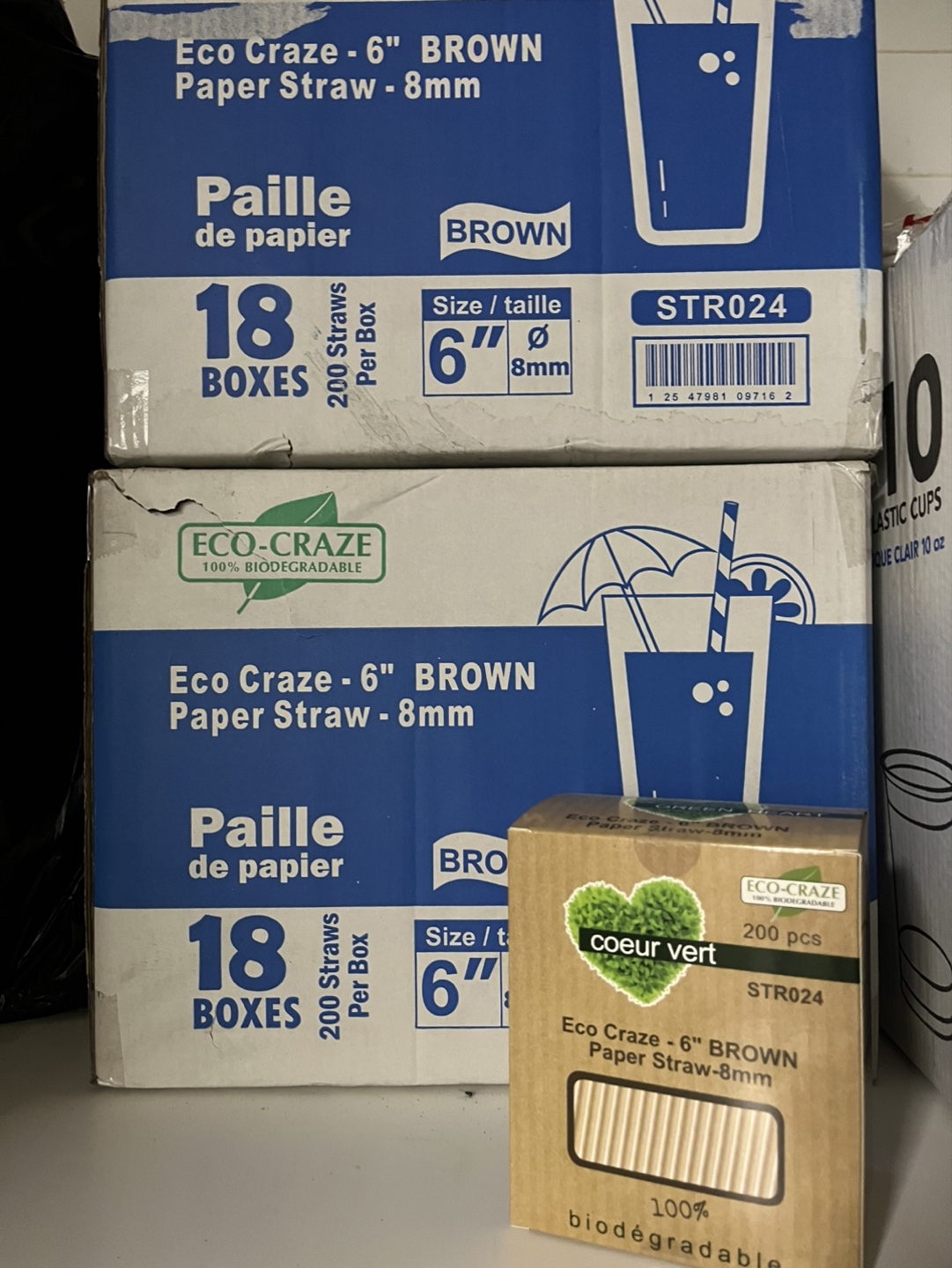 Bulk Paper Straws (6", 8mm)