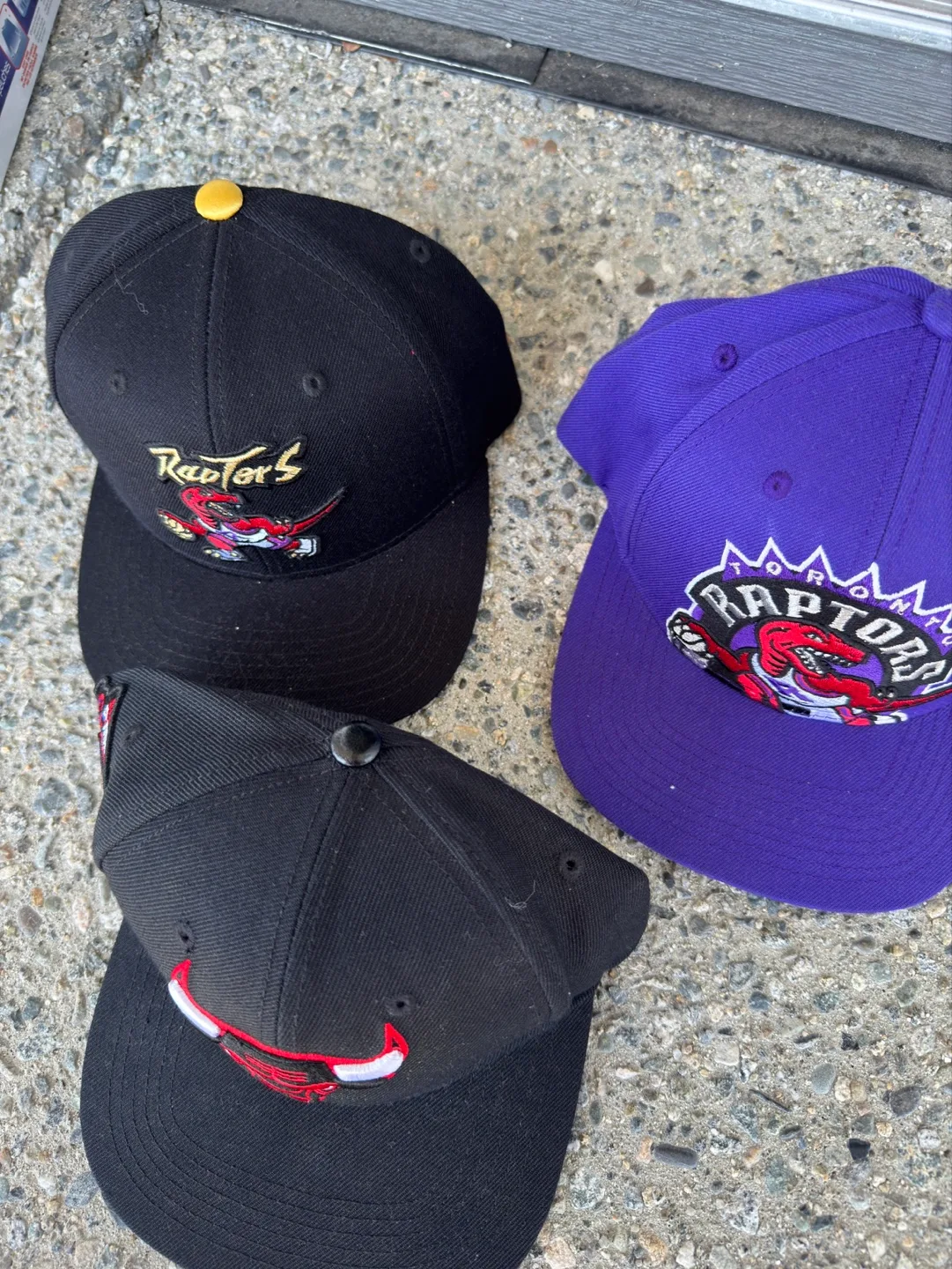 NBA Hats - raptors and bulls thumbnail