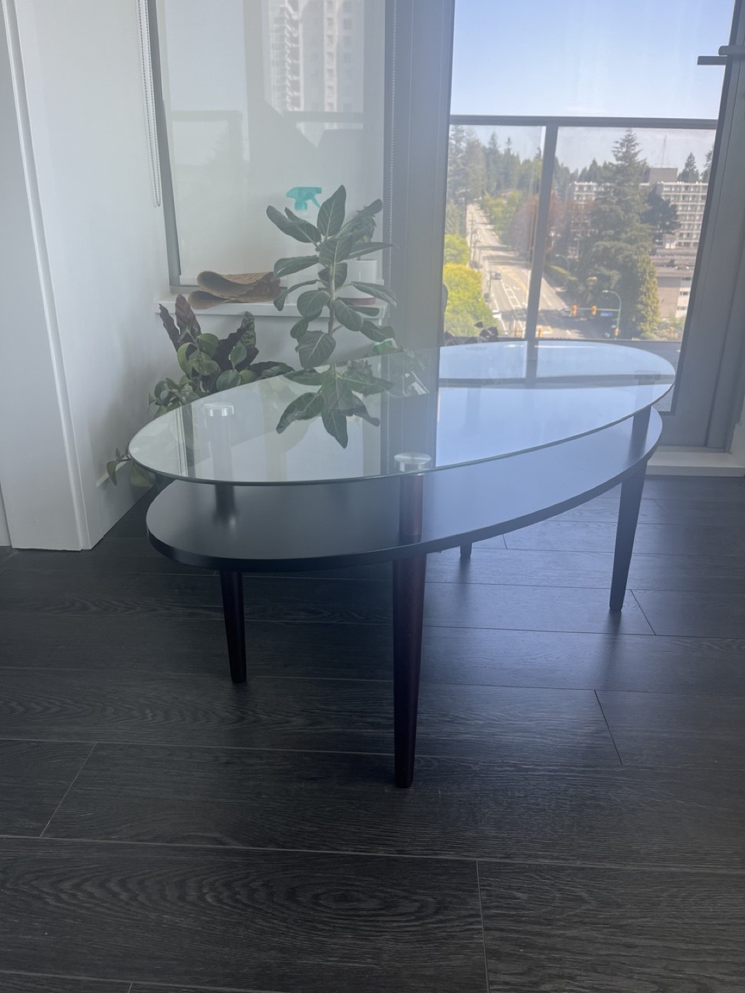 Oval Glass Top Coffee Table