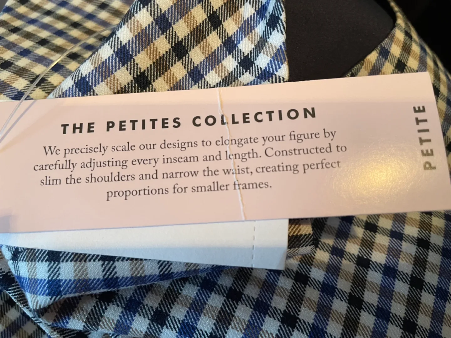 BNWT Banana Republic Petite Gingham Dress, Size 2P image indicator(8)