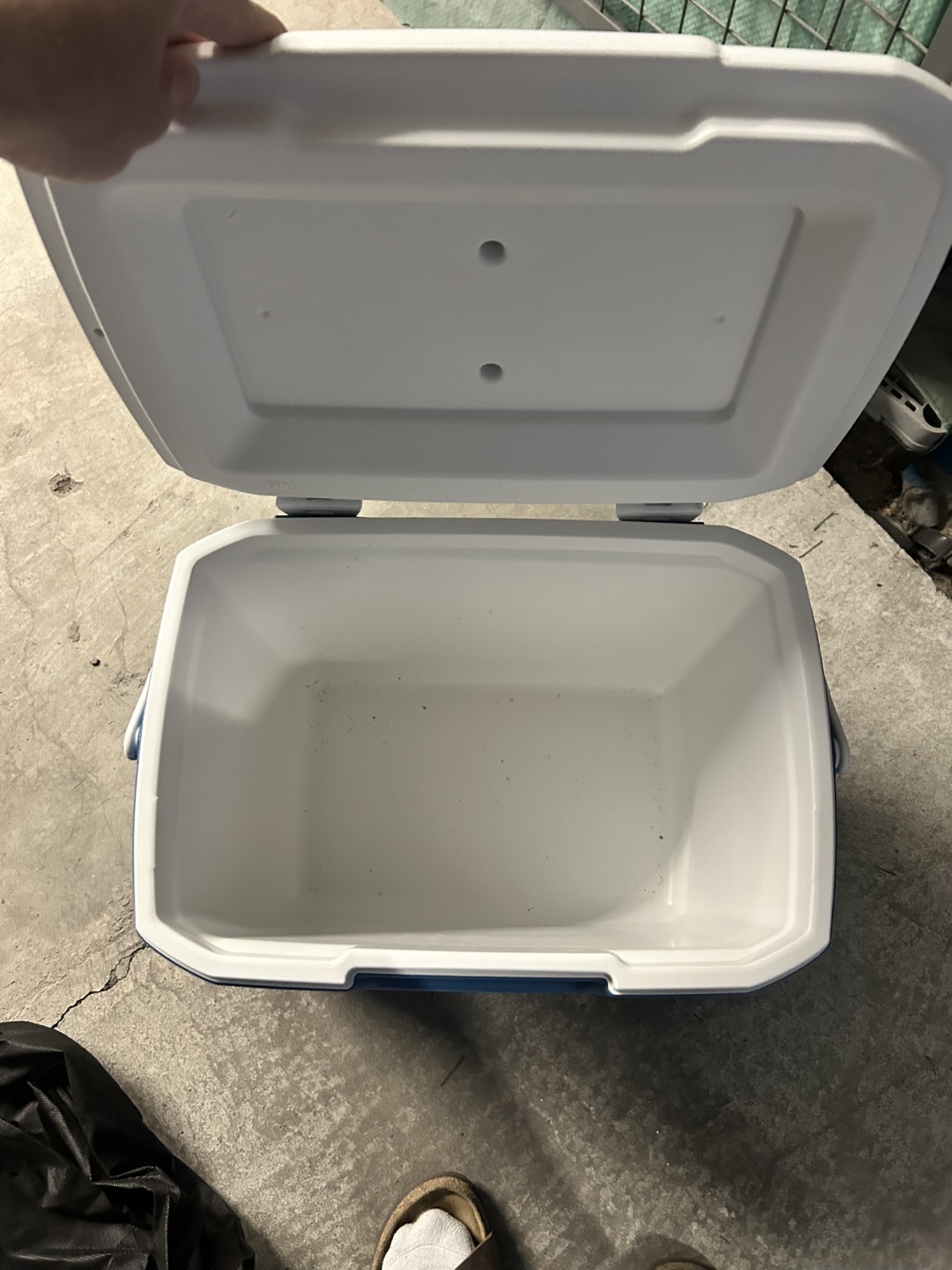 Coleman 16 Quart Cooler - photo 2