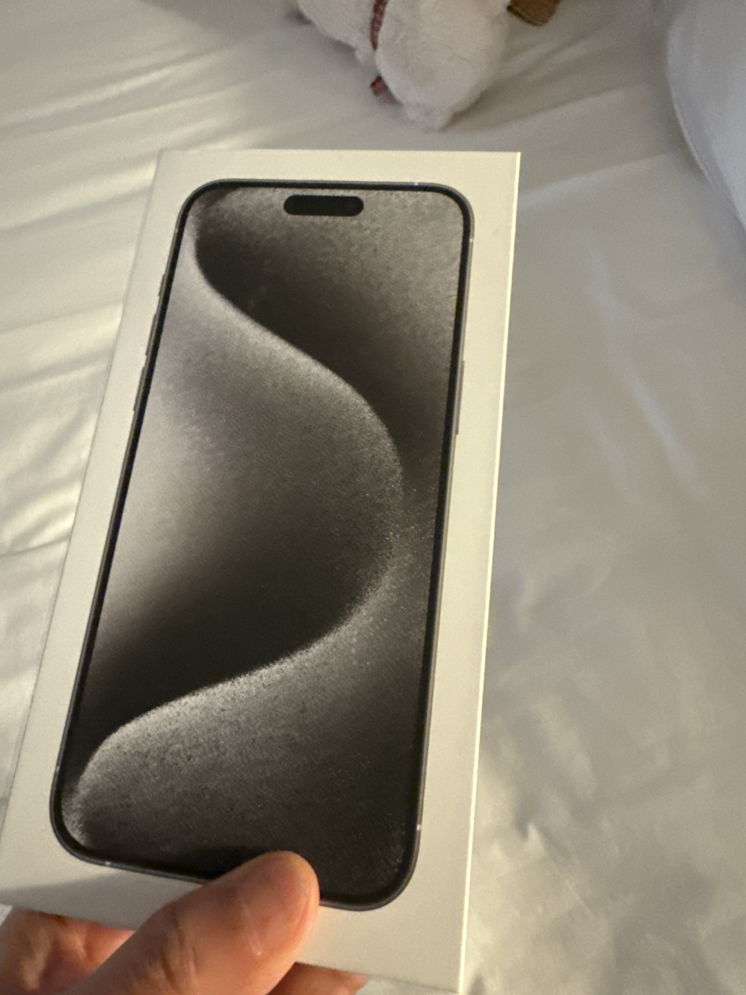 iPhone 15 Pro Max Silver 256GB - photo 2