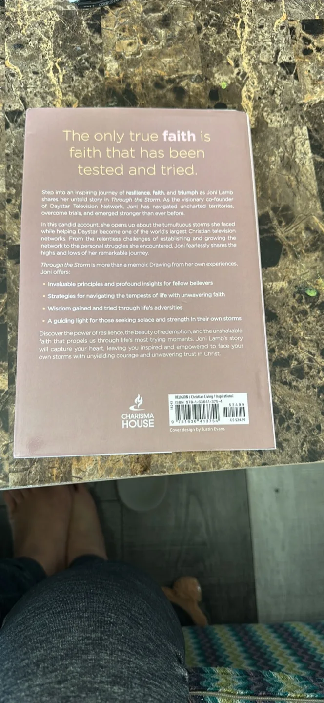 Through the Storm image indicator(2)