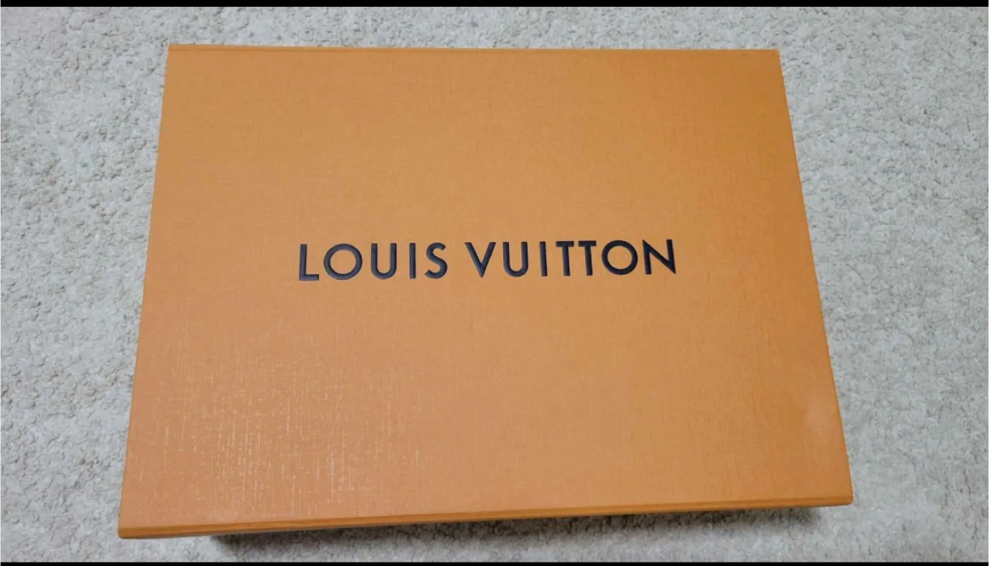 Louis Vuitton Damier Graphite Pochette image indicator(3)